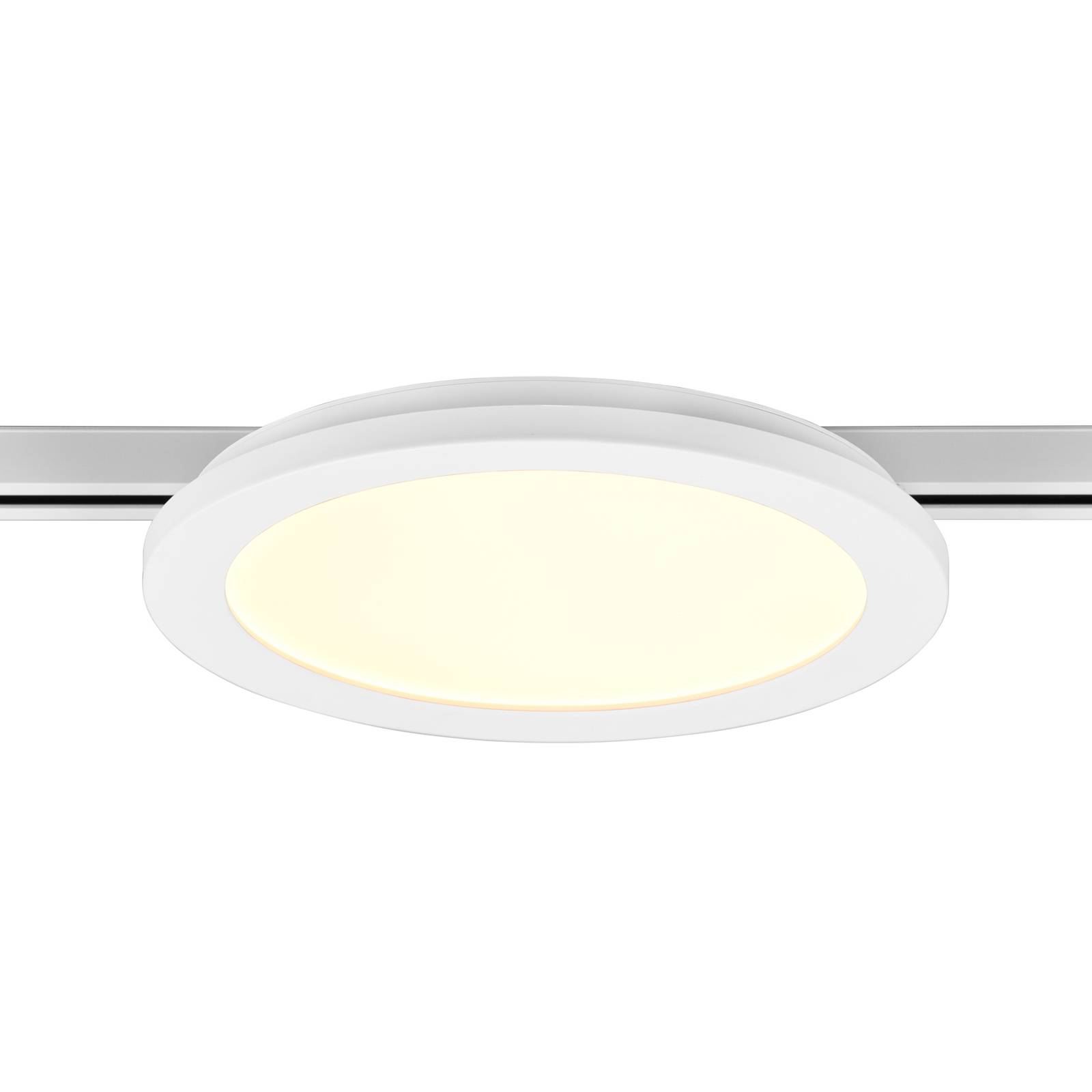 LED-Deckenlampe Camillus DUOline, Ø 26 cm, weiß günstig online kaufen