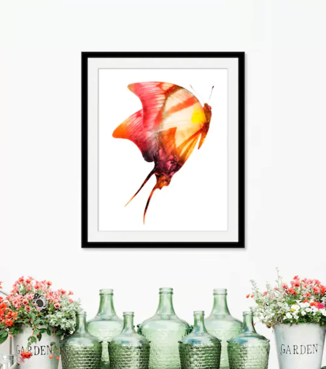 queence Bild »Darleen«, Schmetterlinge-Kunst-Insekten, (1 St.), HD Premium günstig online kaufen