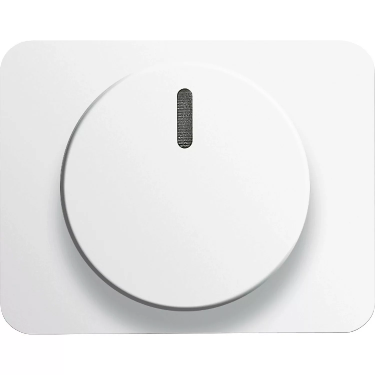 Busch-Jaeger Zentralscheibe stws gl für Drehdimmer 6540-24G - 2CKA006599A23 günstig online kaufen