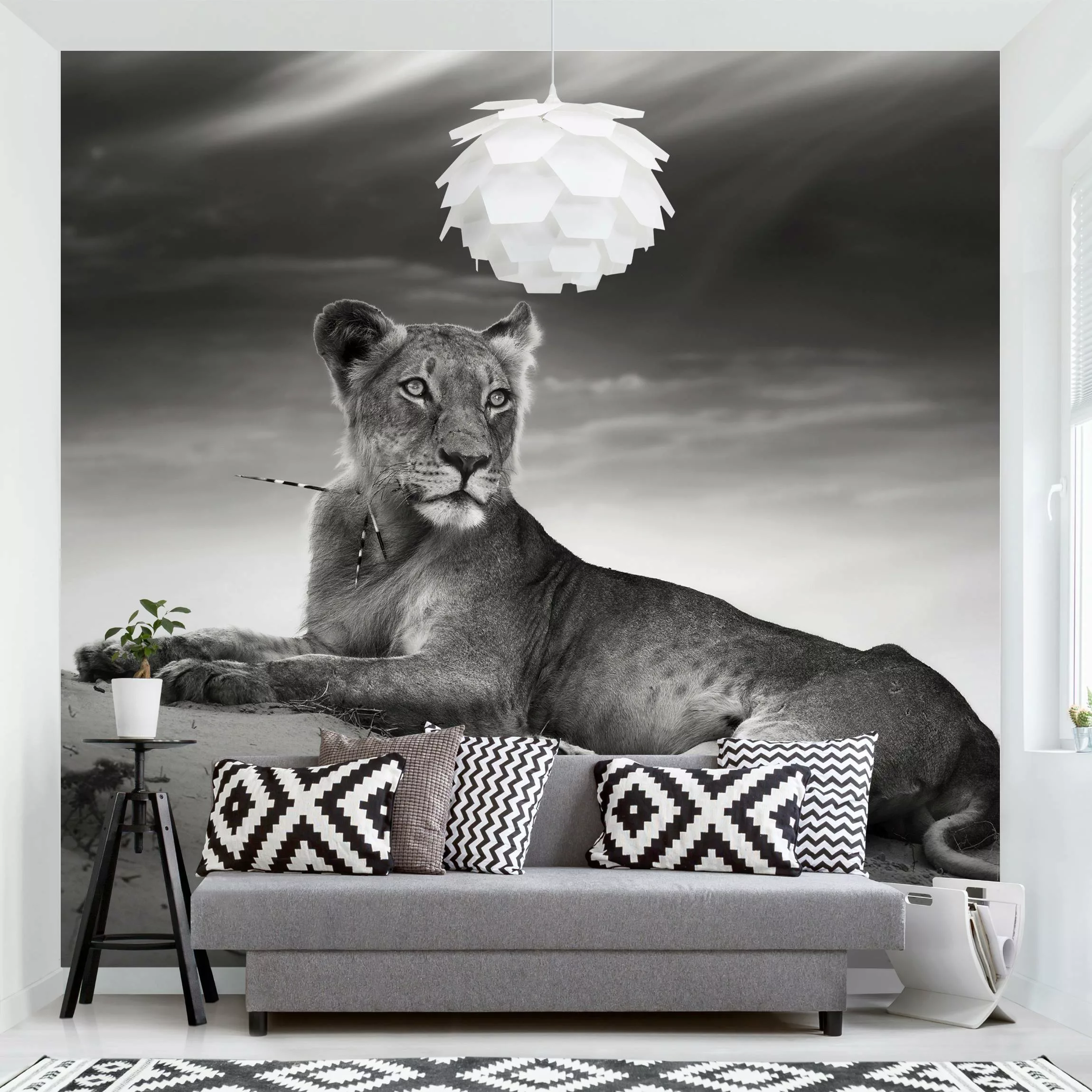 Fototapete Resting Lion günstig online kaufen