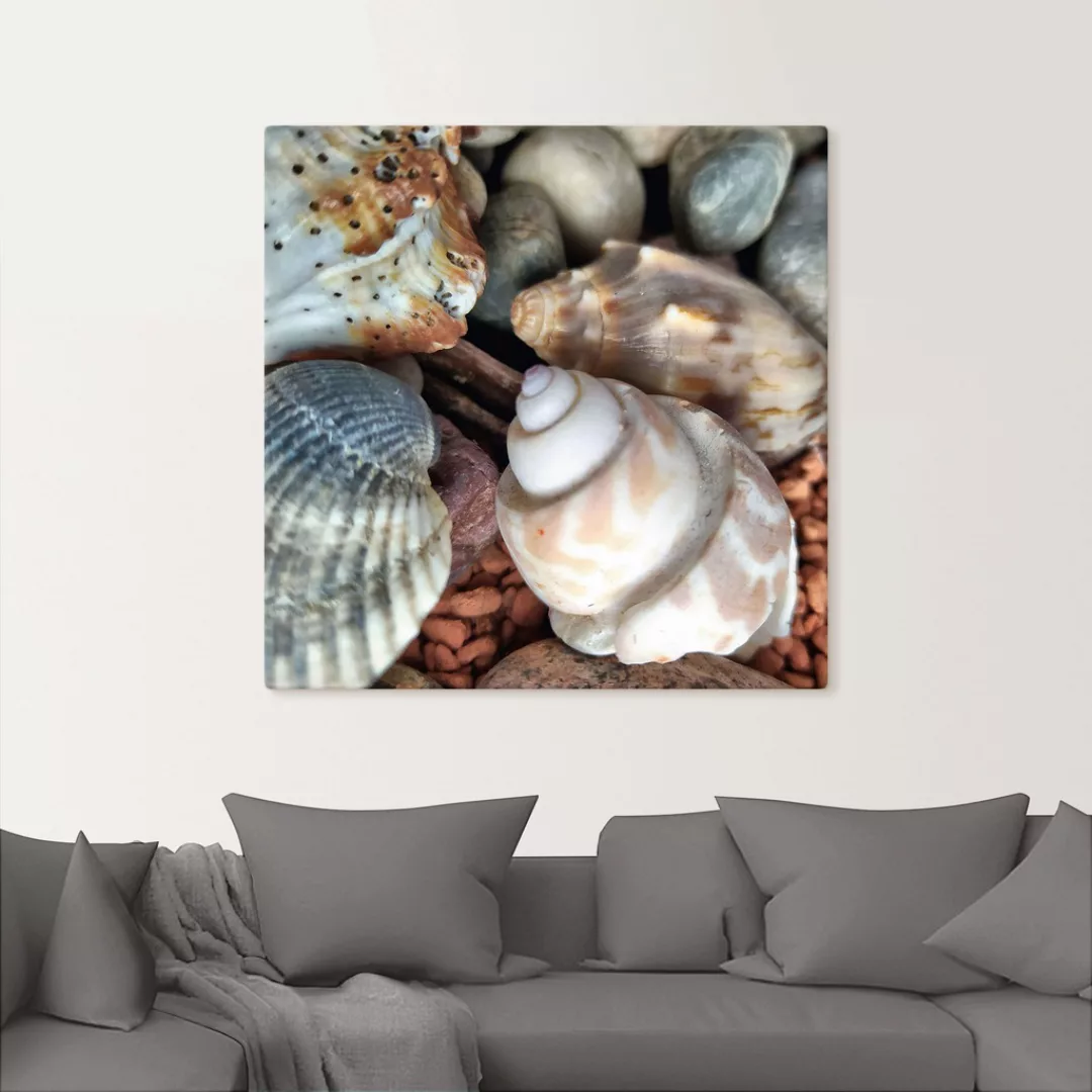 Artland Leinwandbild "Kleine Muschelschätze", Meer, (1 St.), auf Keilrahmen günstig online kaufen