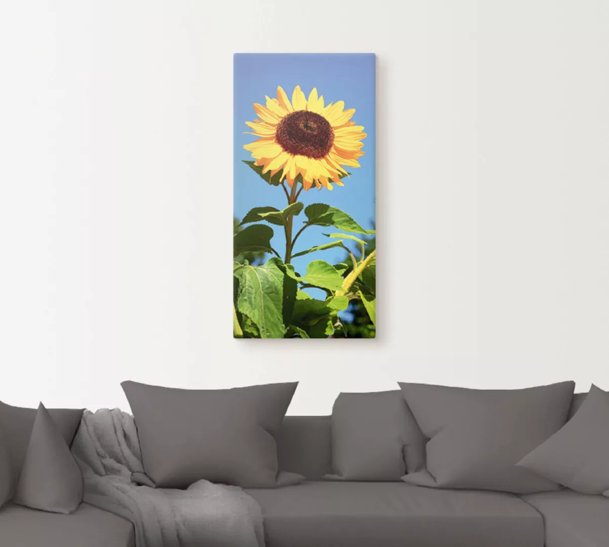 Artland Wandbild »Sonnenblume«, Blumen, (1 St.), als Alubild, Outdoorbild, günstig online kaufen