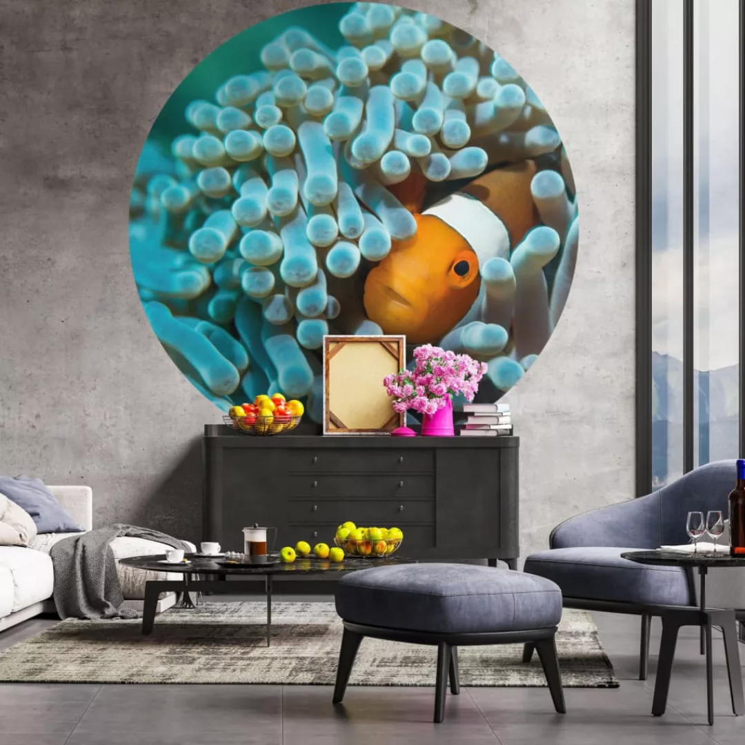 vidaXL Hintergrundtuch Tapetenkreis "Nemo der Anemonenfisch" 142.5 cm günstig online kaufen