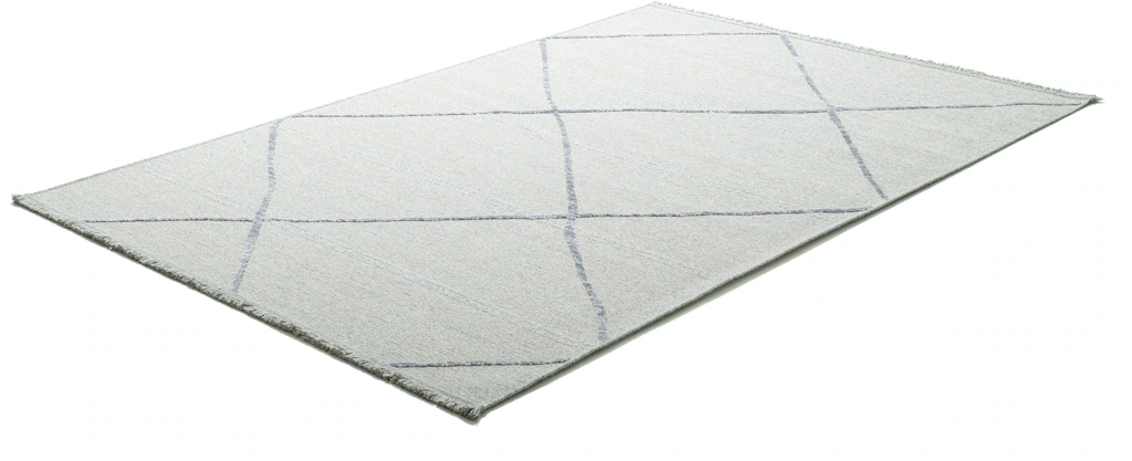 Sansibar Teppich »Braderup«, rechteckig, 2 mm Höhe, Flachgewebe, modernes S günstig online kaufen
