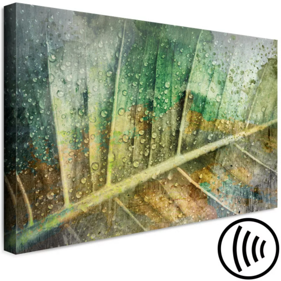 Bild auf Leinwand Regentropfen auf dem Blatt - botanisches Motiv in Grün XX günstig online kaufen
