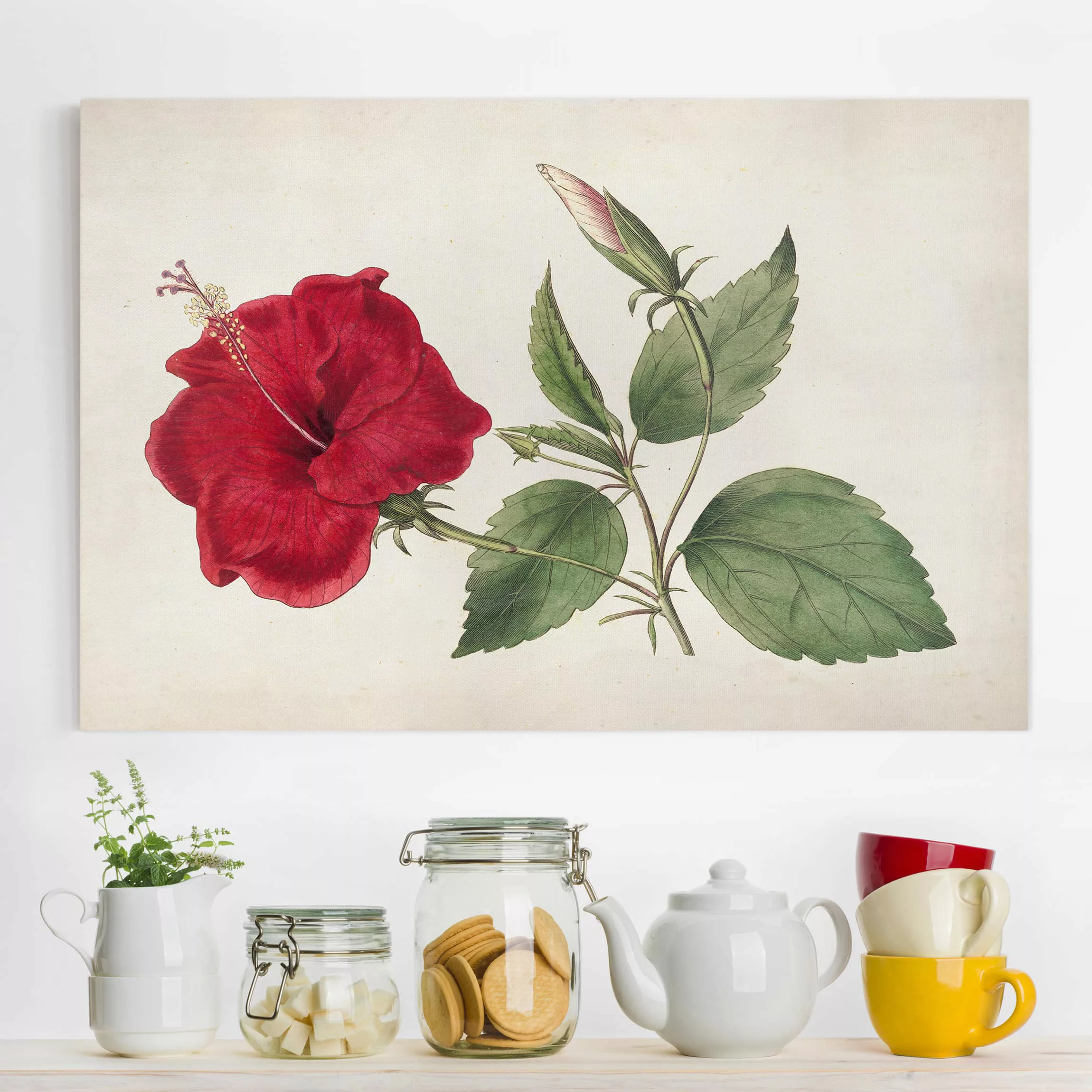 Leinwandbild Blumen - Querformat Gartenschönheit III günstig online kaufen
