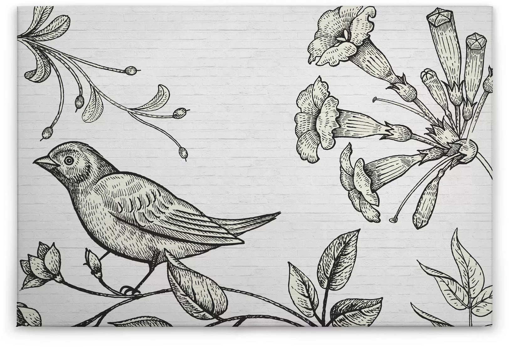 A.S. Création Leinwandbild "birdy 3", (1 St.), Schwarz-Weiß Zeichnung Flora günstig online kaufen