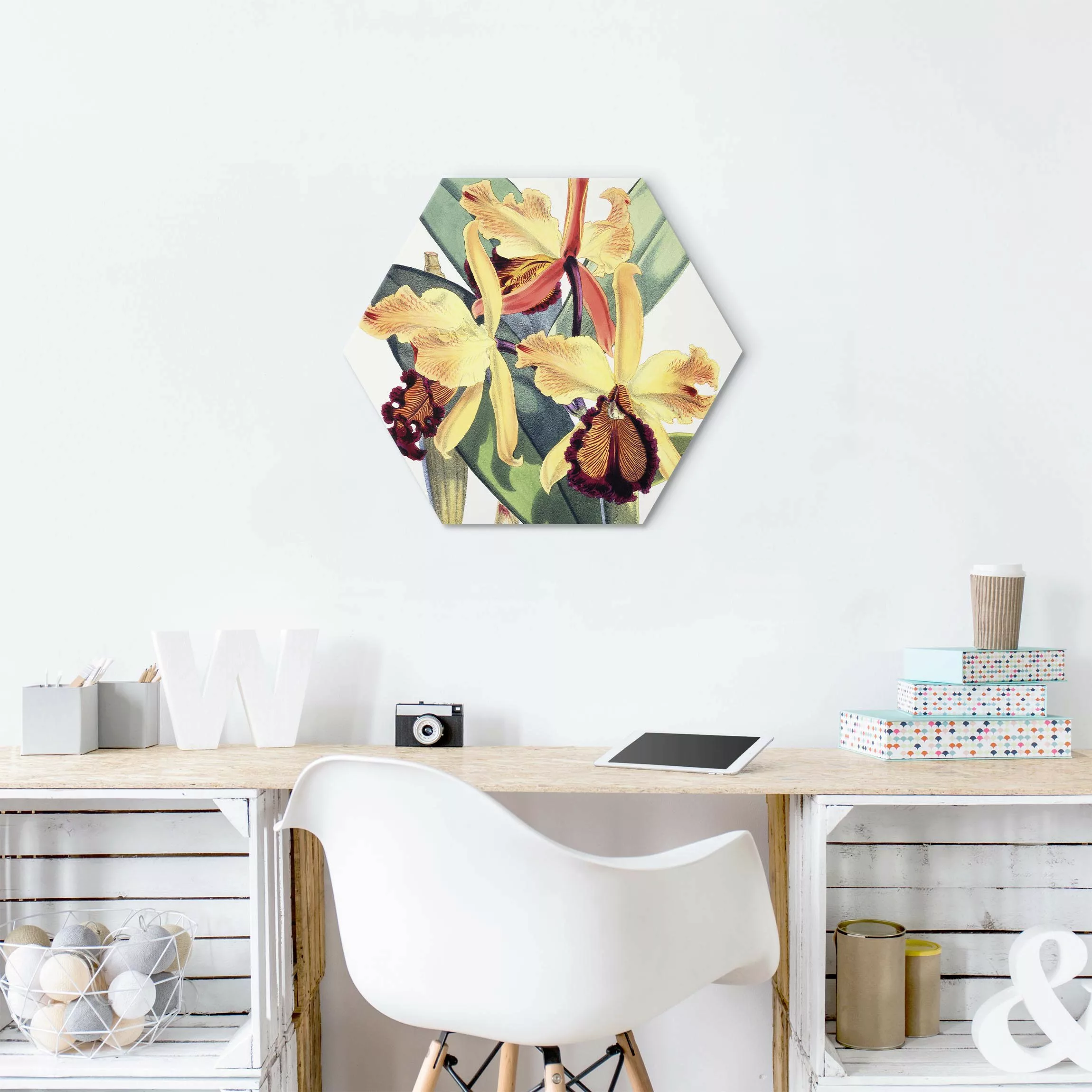 Hexagon-Alu-Dibond Bild Walter Hood Fitch - Orchidee günstig online kaufen