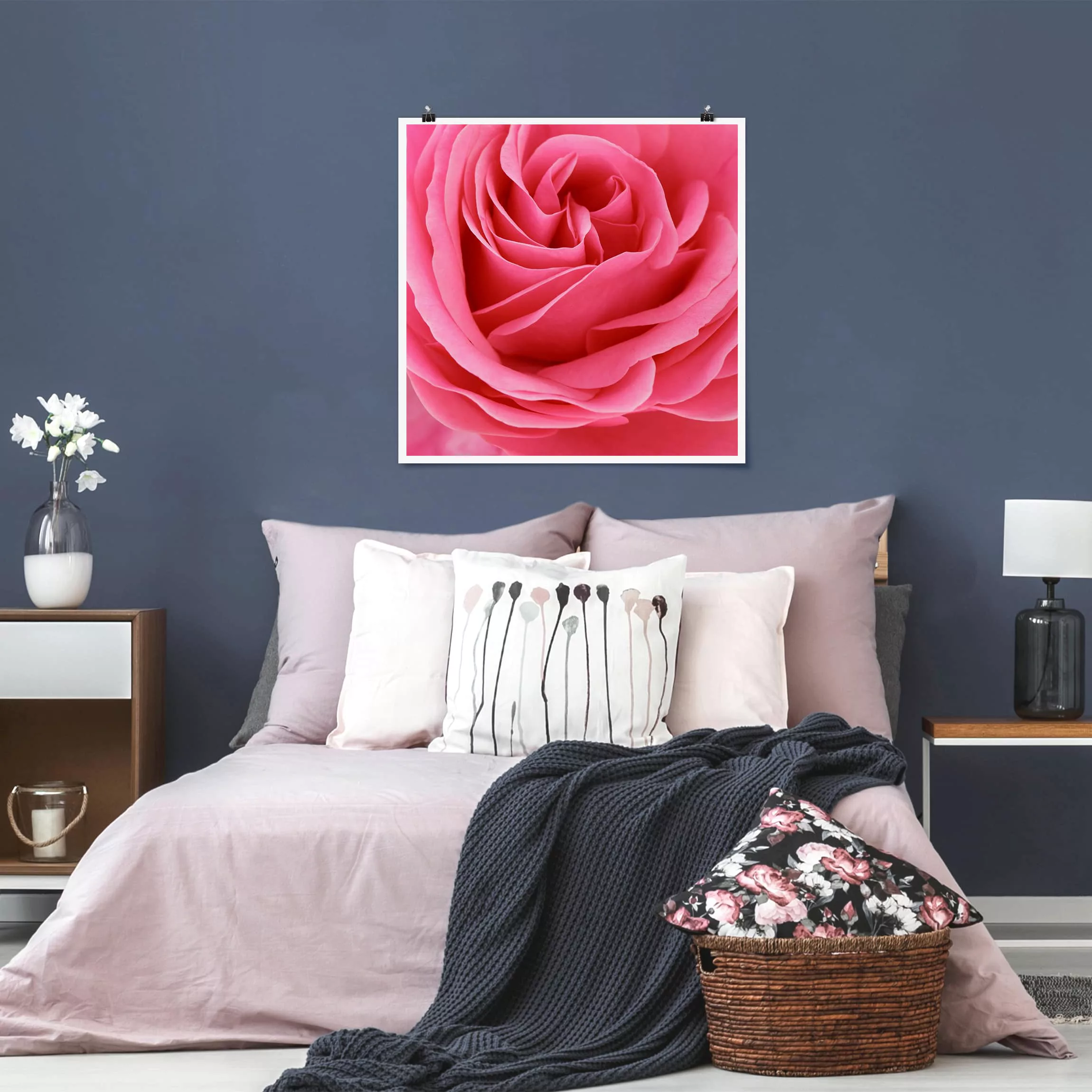 Poster Blumen - Quadrat Lustful Pink Rose günstig online kaufen