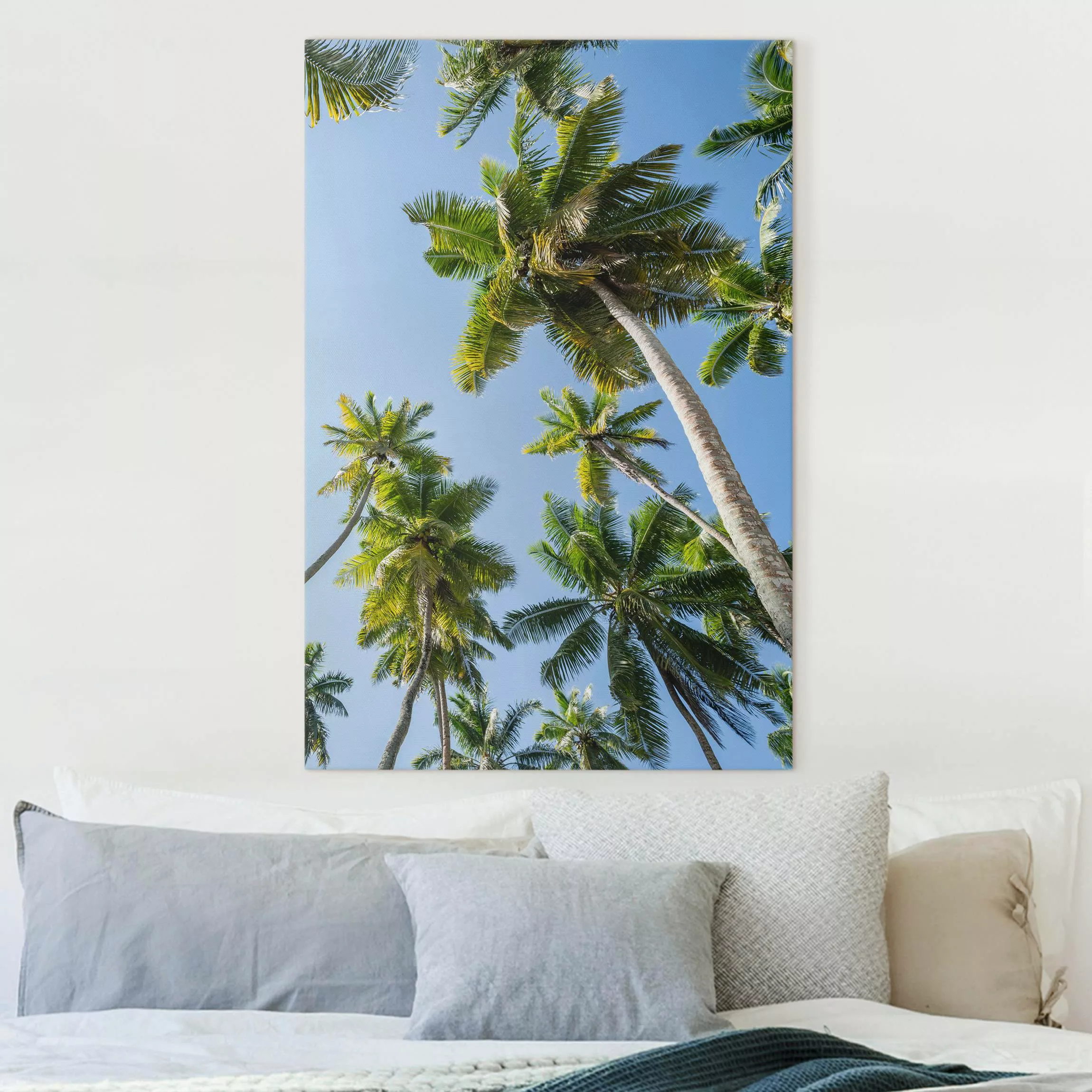 Leinwandbild Palmen Himmel günstig online kaufen