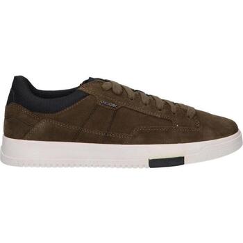 Geox  Sneaker U16AGB 00022 U SEGNALE günstig online kaufen