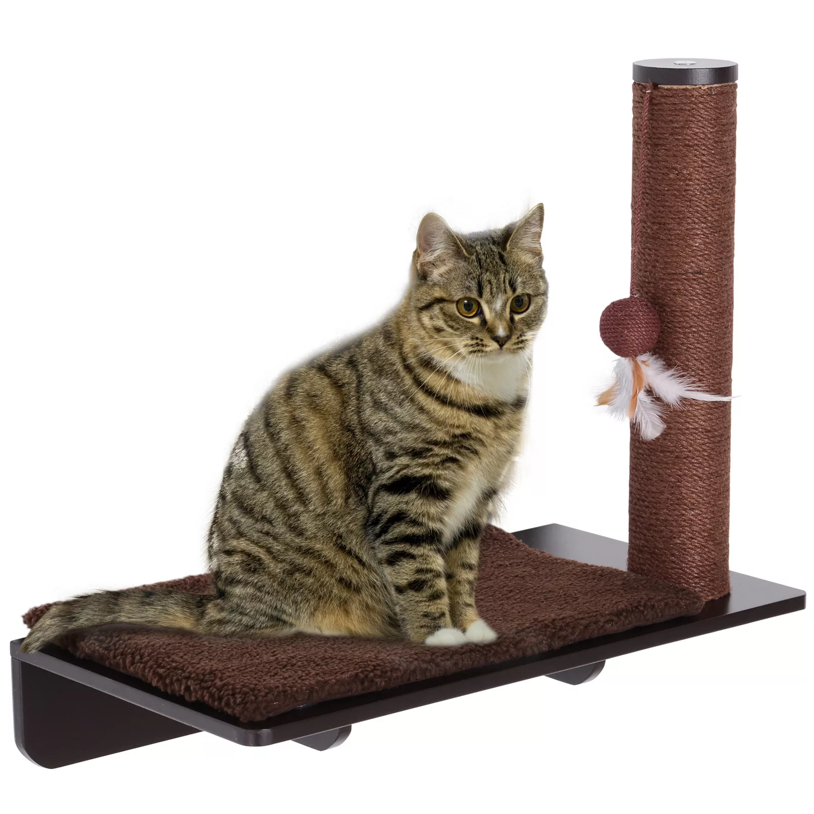 PawHut Katzenliege mit Kratzbaum  Komfortables Katzenregal, Plüschauflage, günstig online kaufen