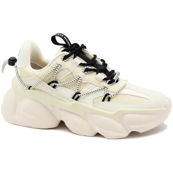 Steve Madden  Sneaker STE-I24-SPEC04S1-WB günstig online kaufen