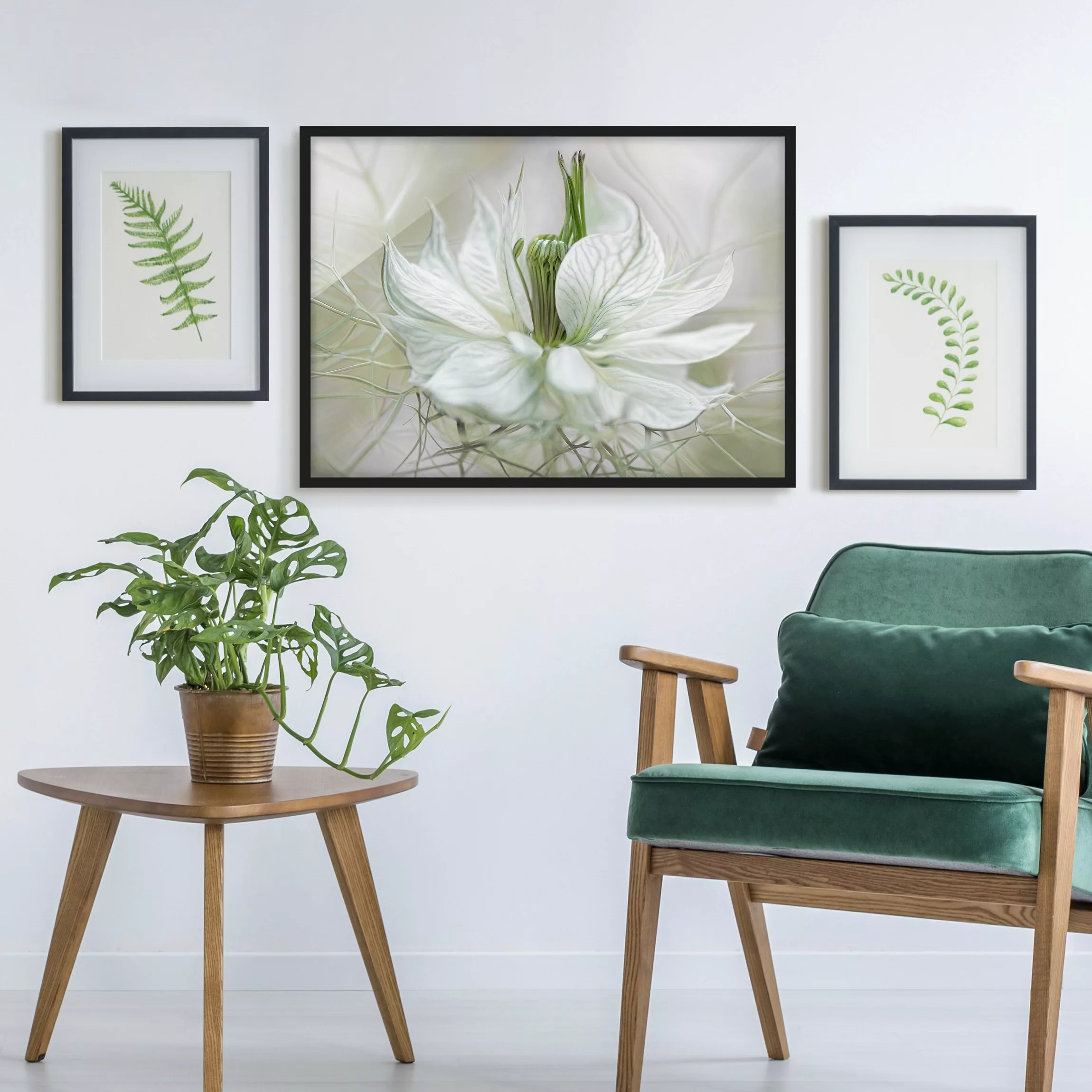 Bild mit Rahmen Blumen - Querformat Weiße Nigella günstig online kaufen