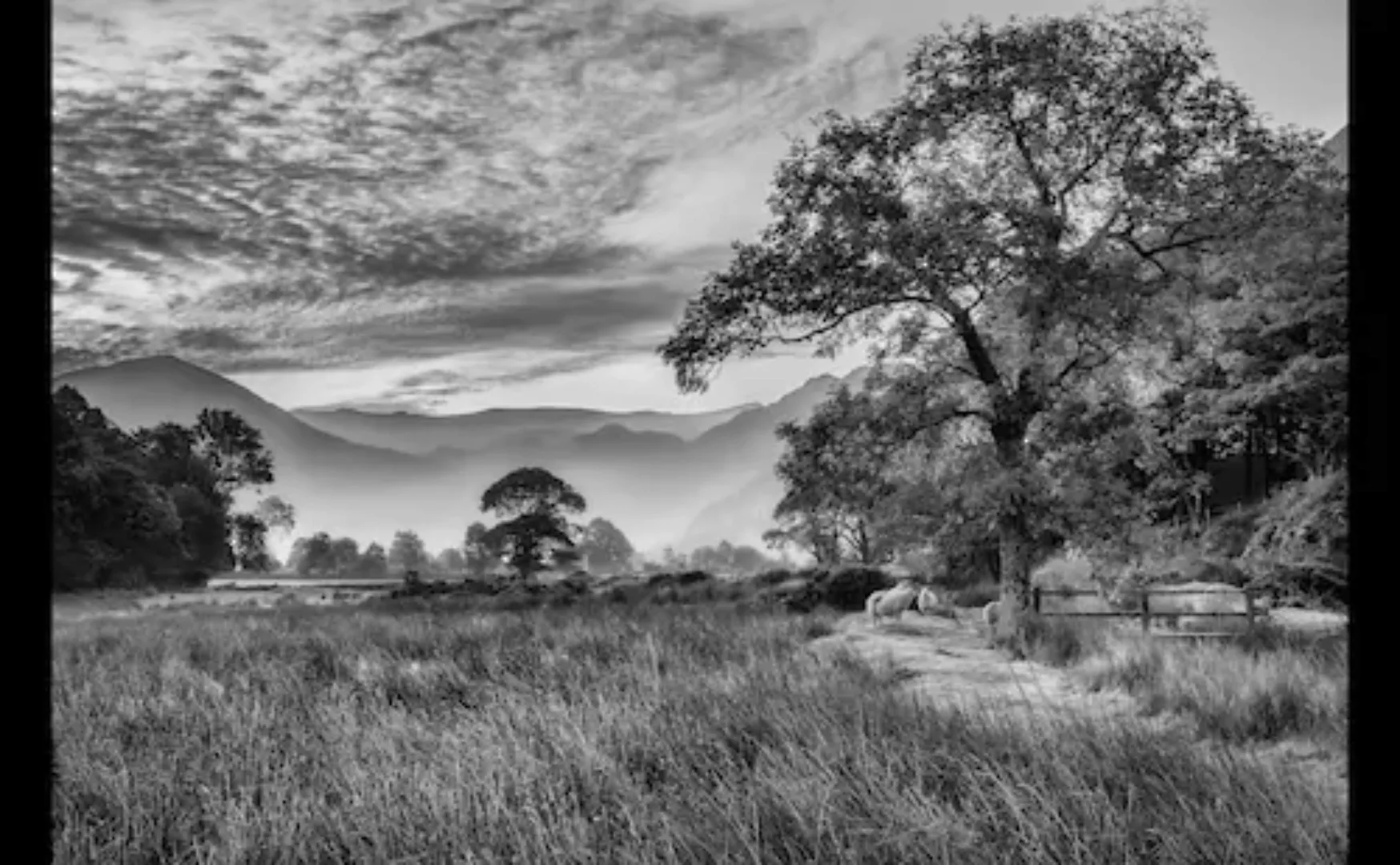 Papermoon Fototapete »Landschaft Schwarz & Weiß« günstig online kaufen