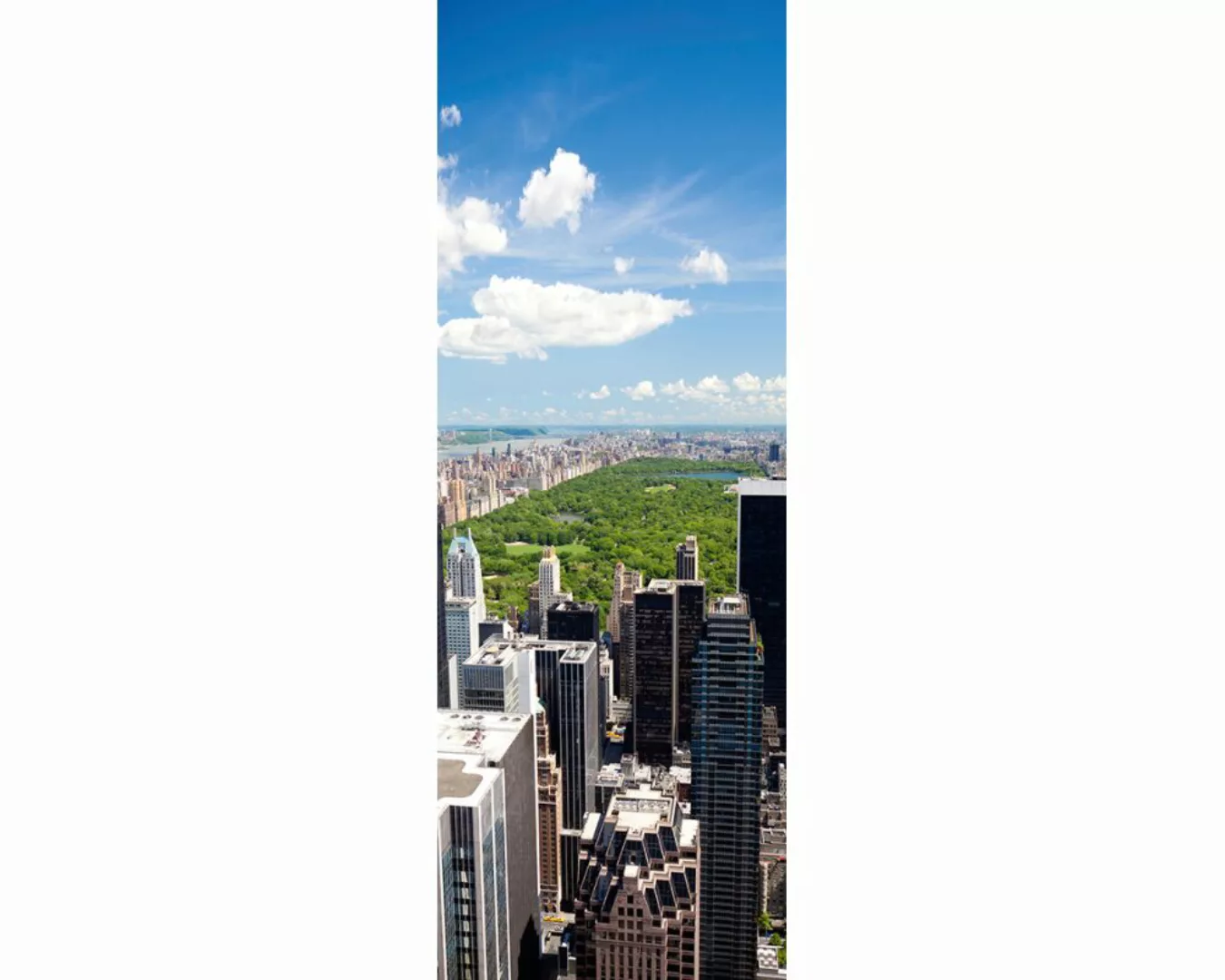 Dekopanel "Central Park" 1,00x2,80 m / selbstklebende Folie günstig online kaufen