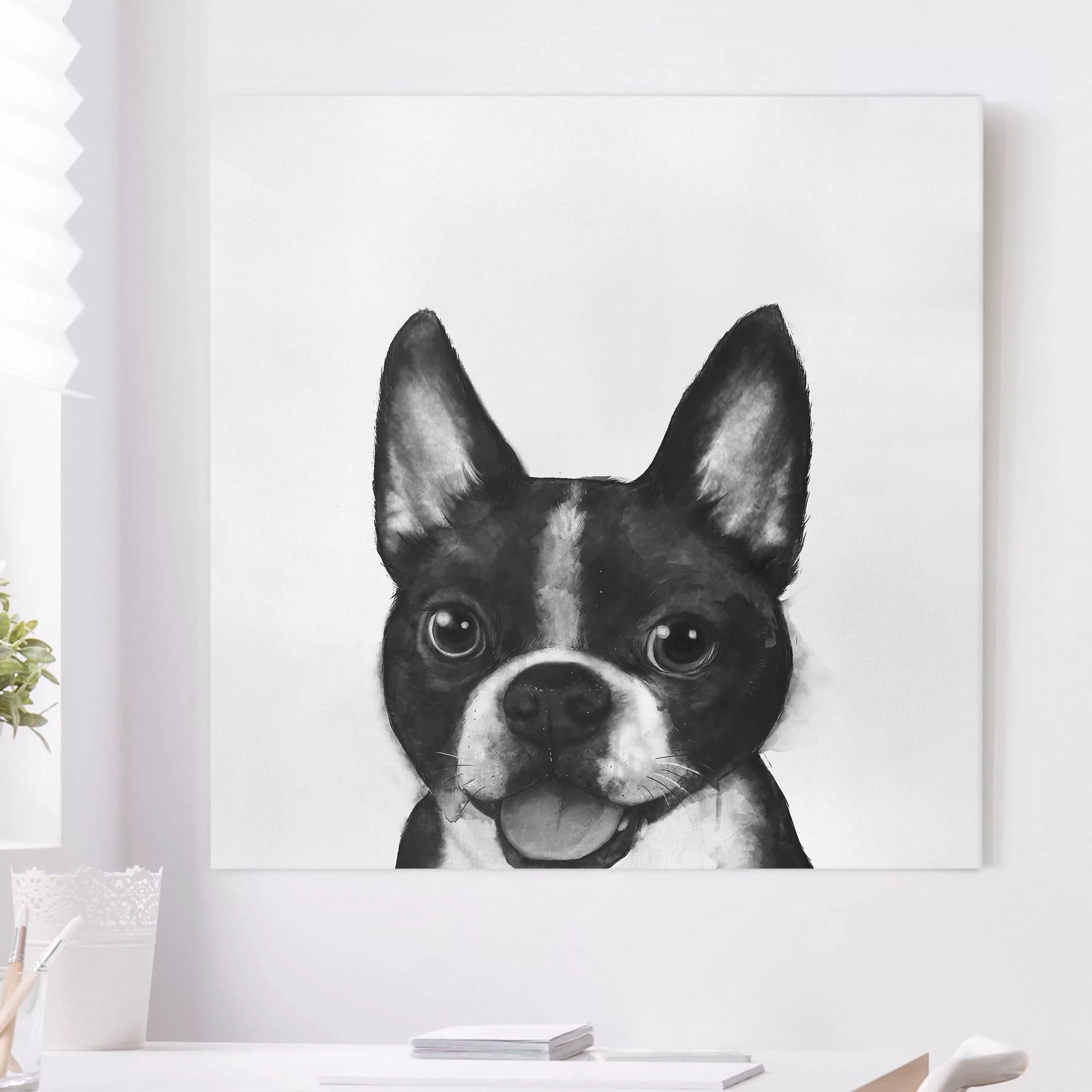 Leinwandbild Tiere - Quadrat Illustration Hund Boston Schwarz Weiß Malerei günstig online kaufen