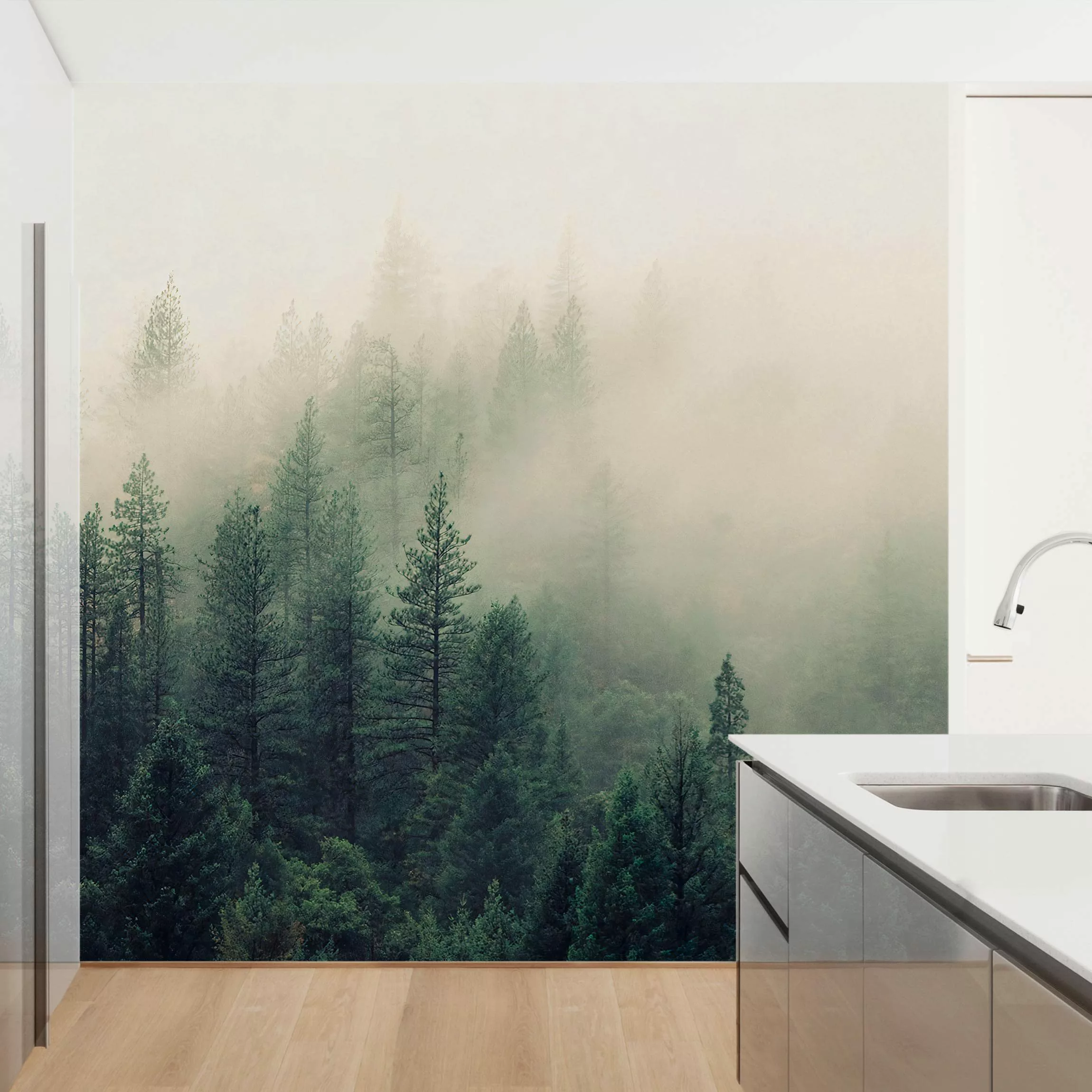 Fototapete Wald im Nebel Erwachen günstig online kaufen