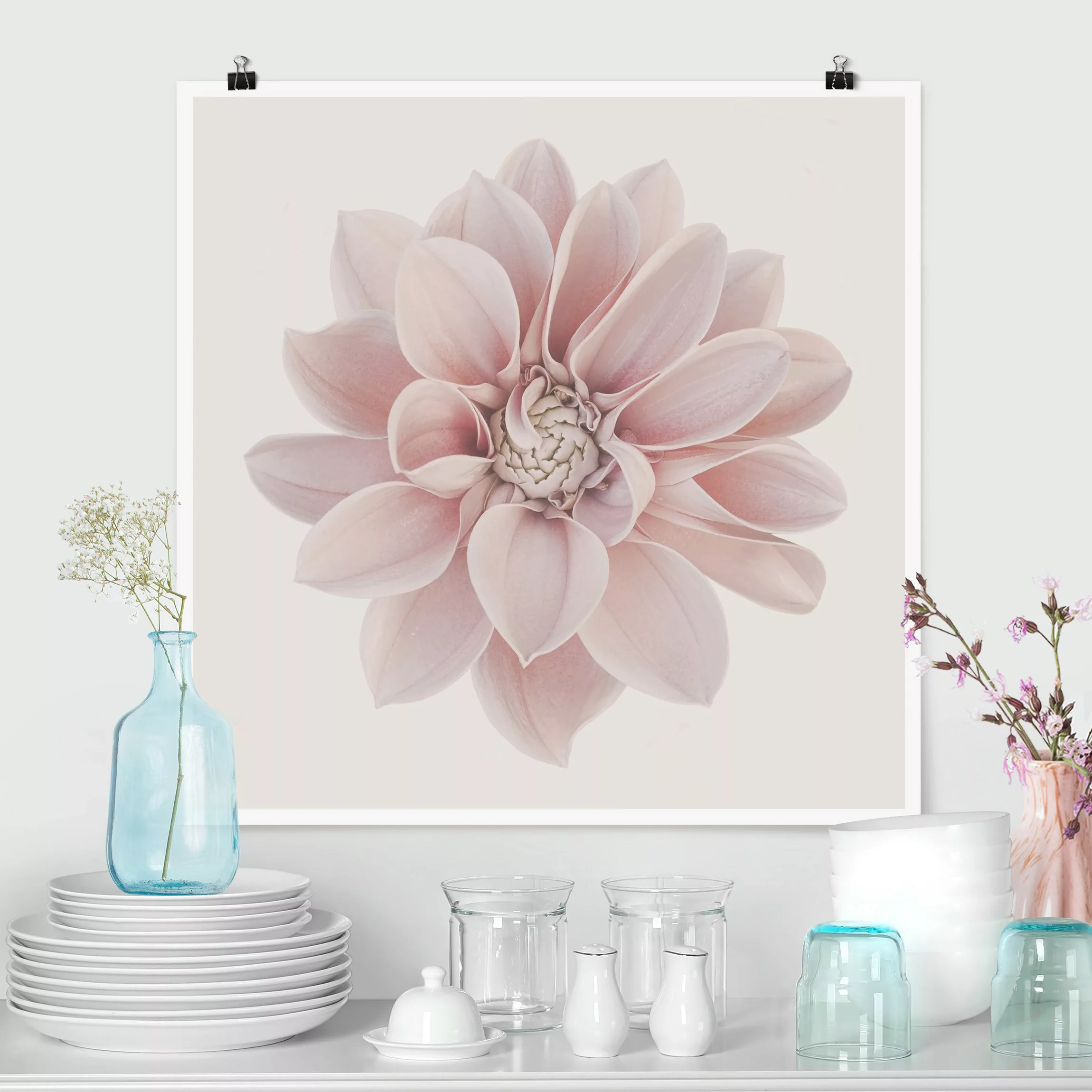 Poster Fotografie Dahlie Blume Pastell Weiß Rosa günstig online kaufen