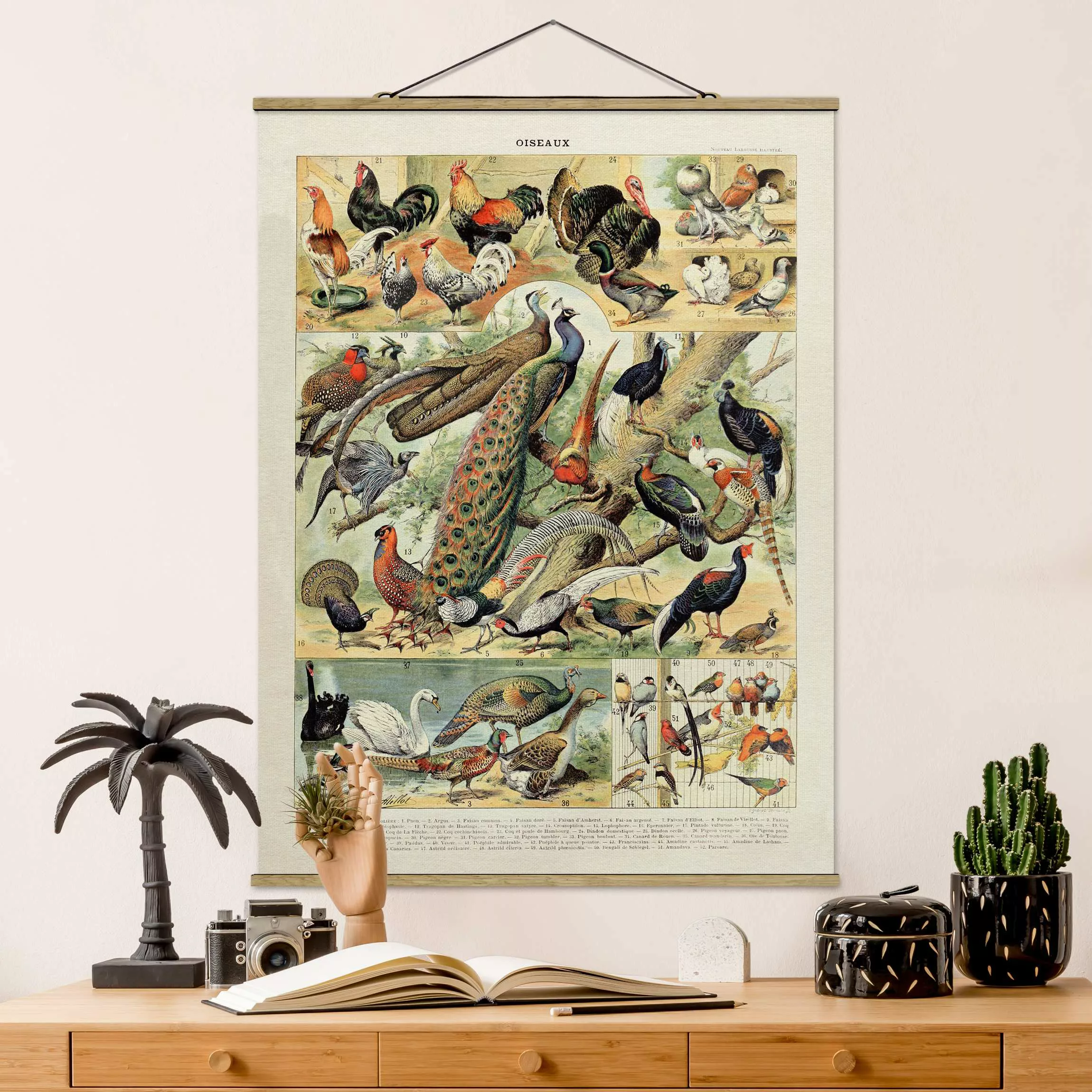 Stoffbild Tiere mit Posterleisten - Hochformat Vintage Lehrtafel Europäisch günstig online kaufen