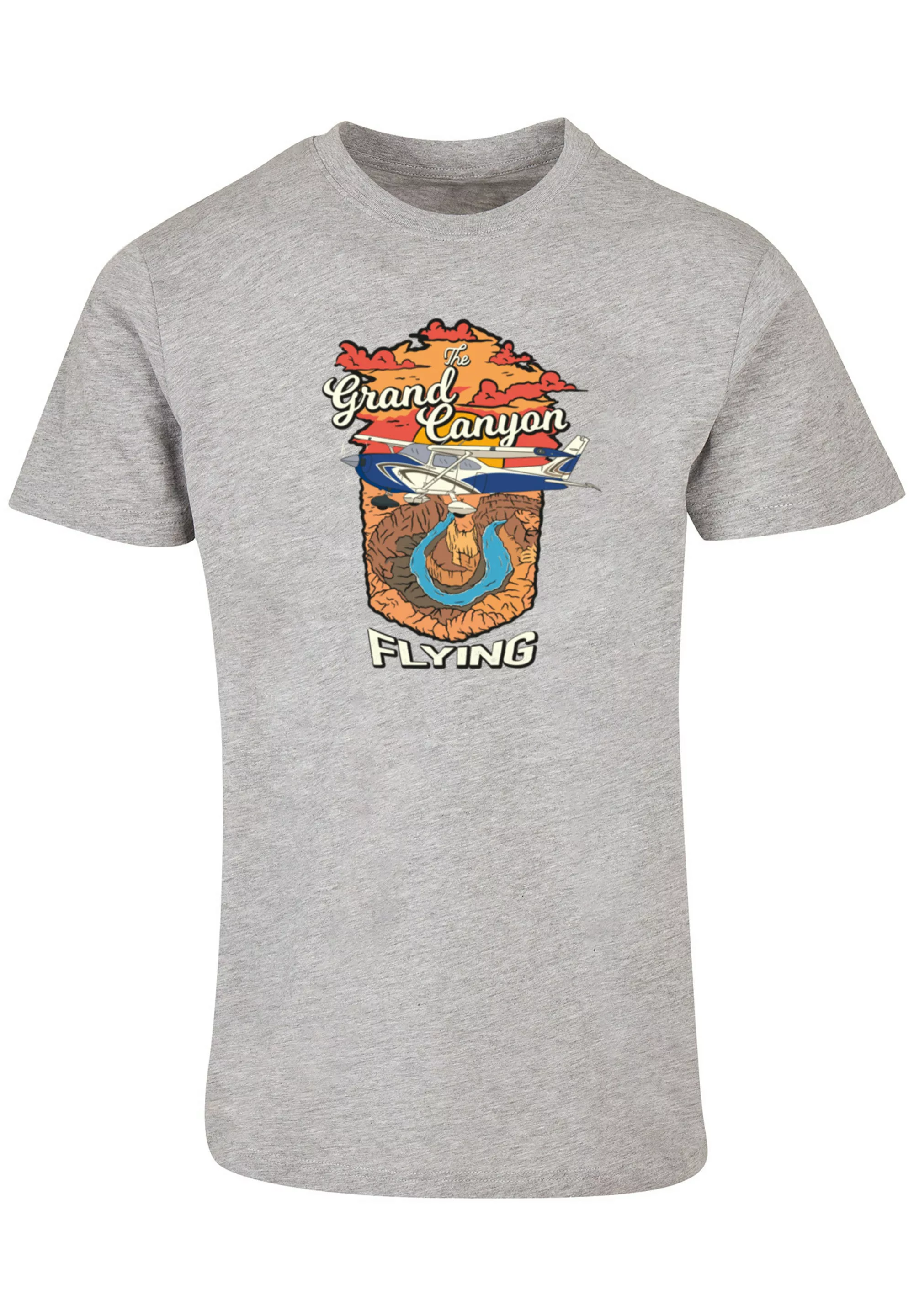 F4NT4STIC T-Shirt "Grand Canyon Flying", Print günstig online kaufen