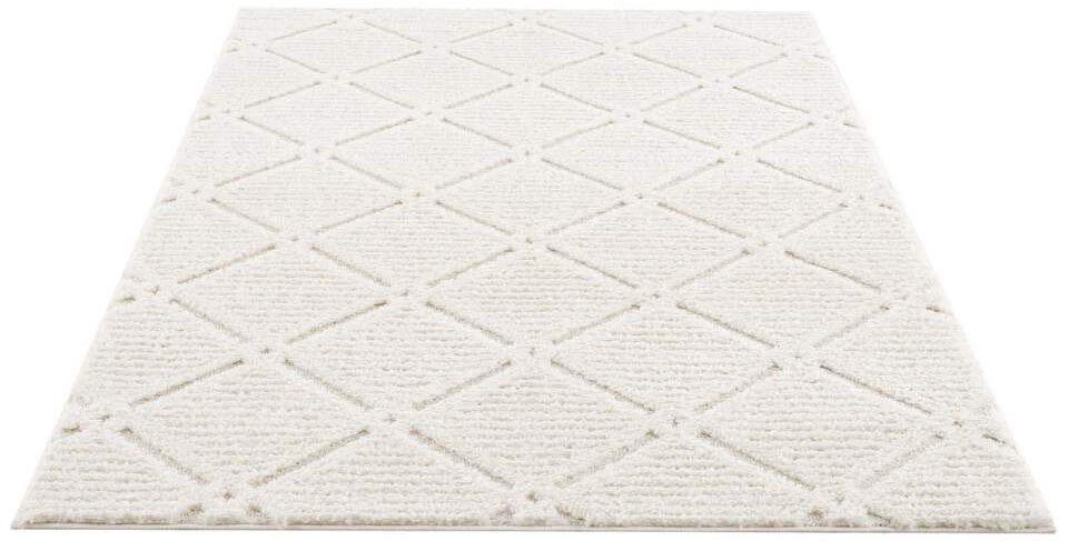 Carpet City Hochflor-Teppich »Focus 2997«, rund, 20 mm Höhe, Boho-Teppich, günstig online kaufen