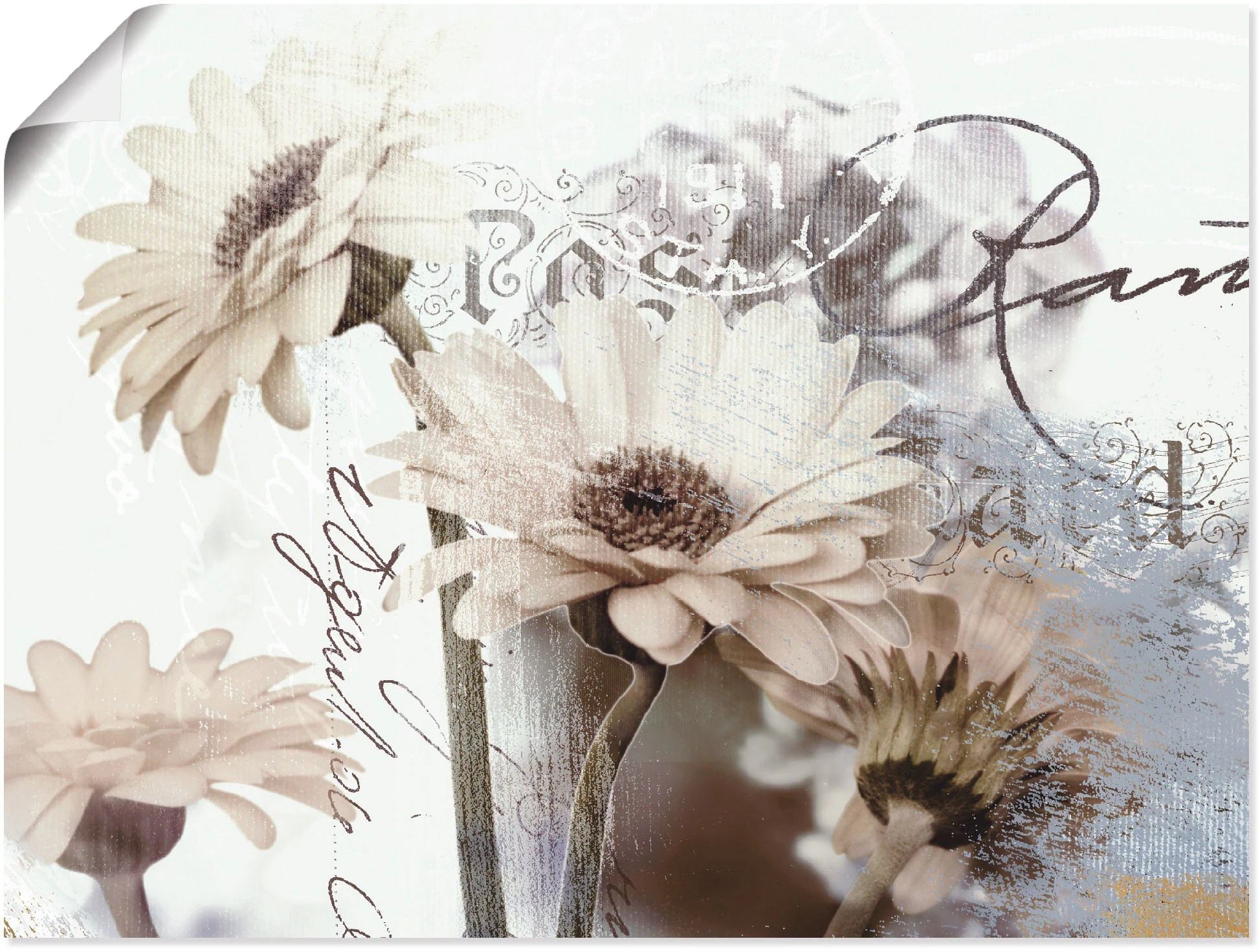 Artland Wandbild "Gerberas Detail", Blumenbilder, (1 St.), als Leinwandbild günstig online kaufen