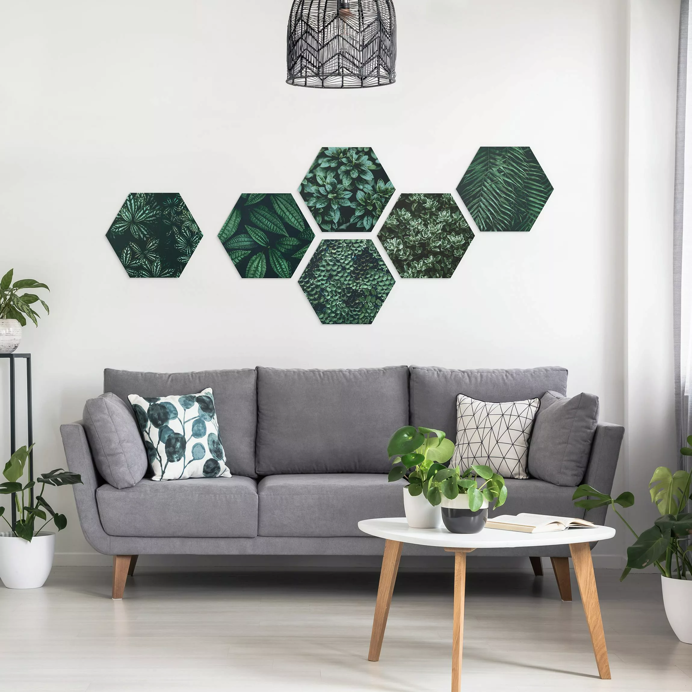 6-teiliges Hexagon-Alu-Dibond Bild Grüne Blätter Set II günstig online kaufen