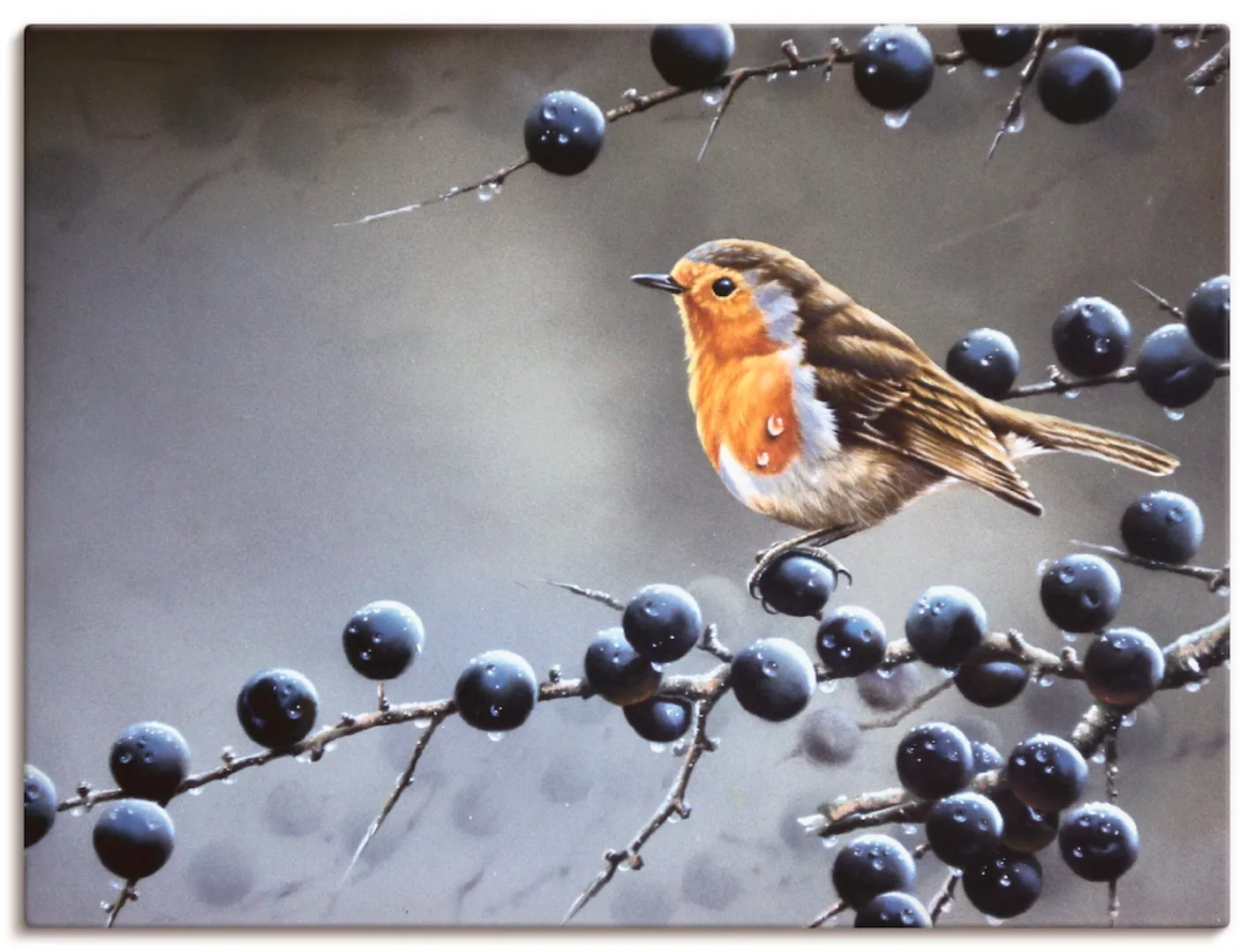 Artland Leinwandbild "Vogel im Beerenbaum", Vögel, (1 St.), auf Keilrahmen günstig online kaufen