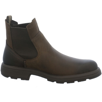 UGG  Stiefel Chelsea Biltmore 1103789 stout günstig online kaufen