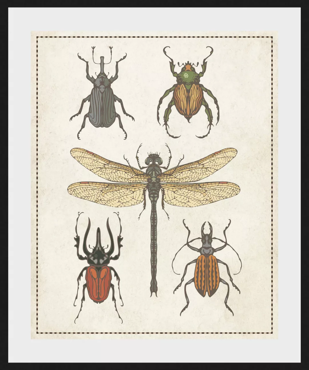 queence Bild »Paula«, Schmetterlinge-Kunst-Insekten, (1 St.), HD Premium Po günstig online kaufen