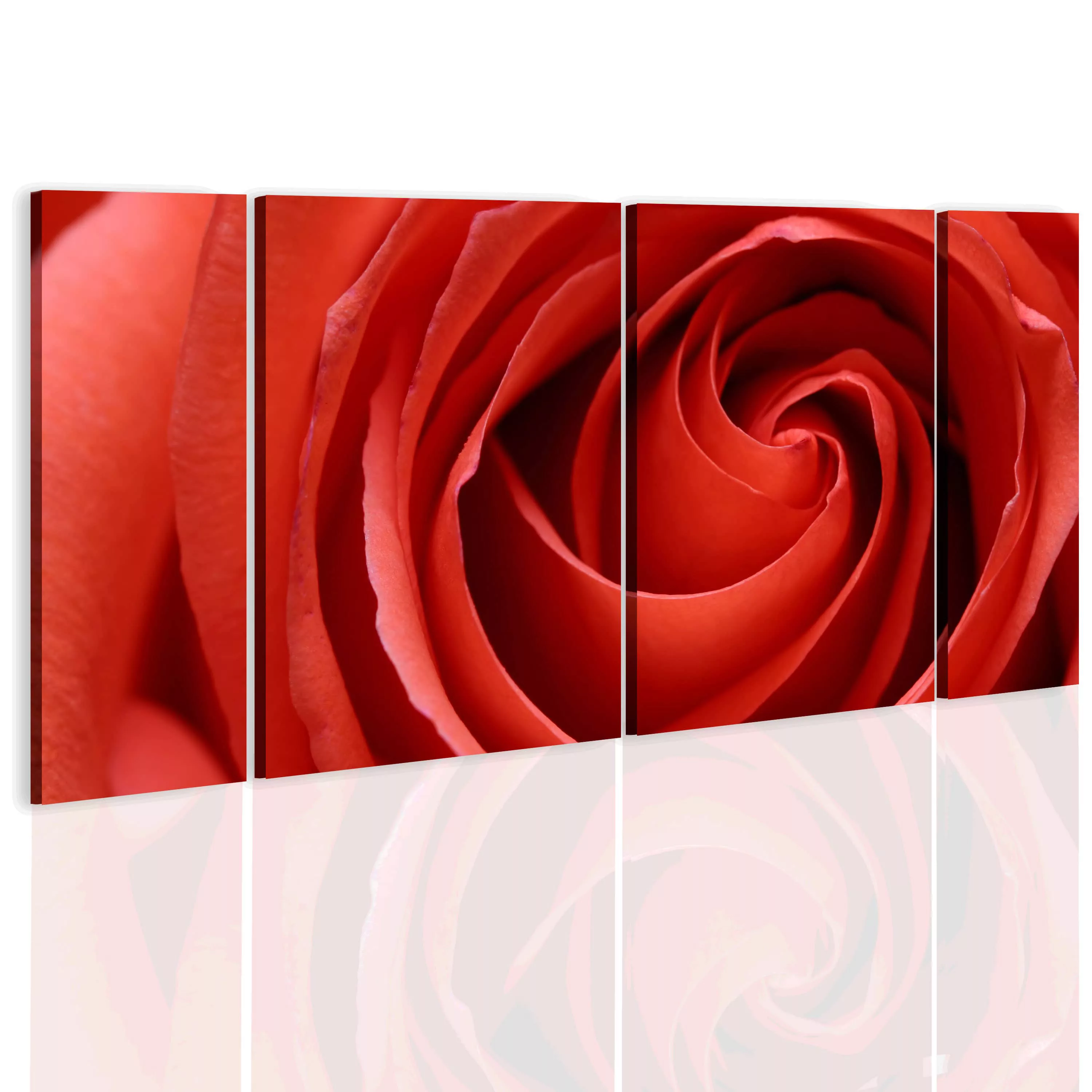 Wandbild - Passionate rose günstig online kaufen