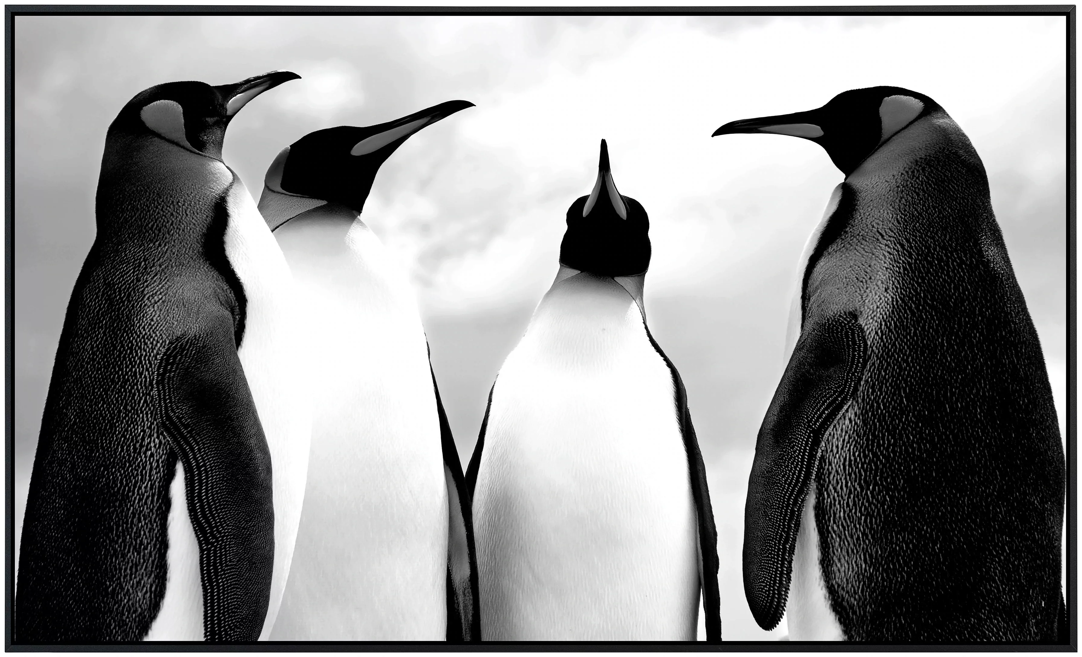 Papermoon Infrarotheizung »Pinguin Schwarz & Weiß«, sehr angenehme Strahlun günstig online kaufen