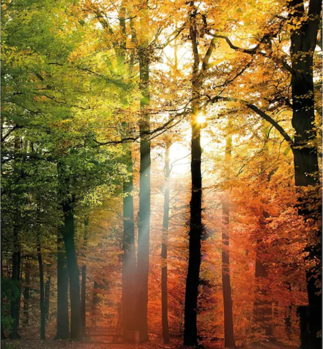 Wall-Art Vliestapete »Goldener Herbst Deko« günstig online kaufen