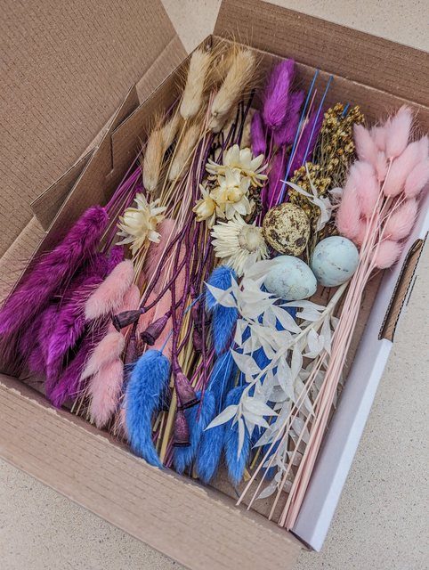 Trockenblume Trockenblumen Deko Box Mix Blau Beere Natur für DIY Projekte L günstig online kaufen