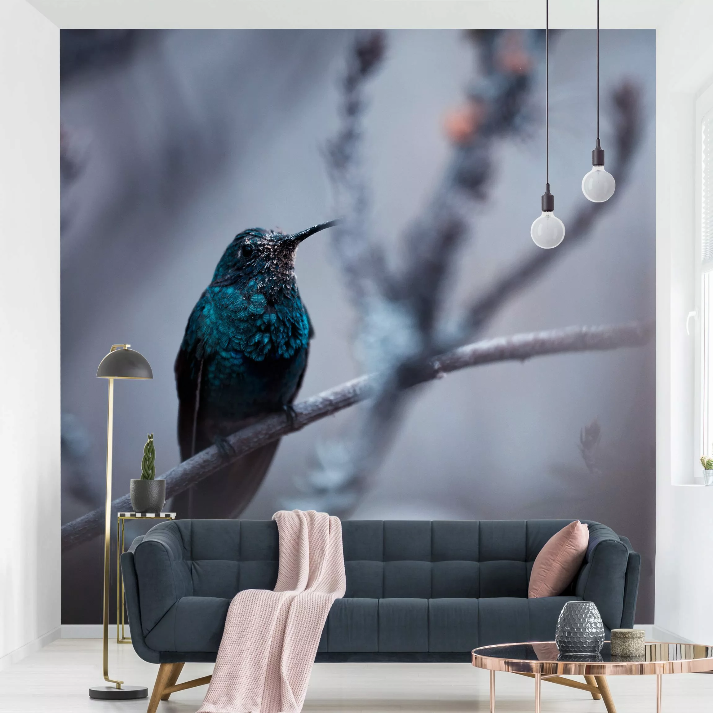 Fototapete Kolibri im Winter günstig online kaufen