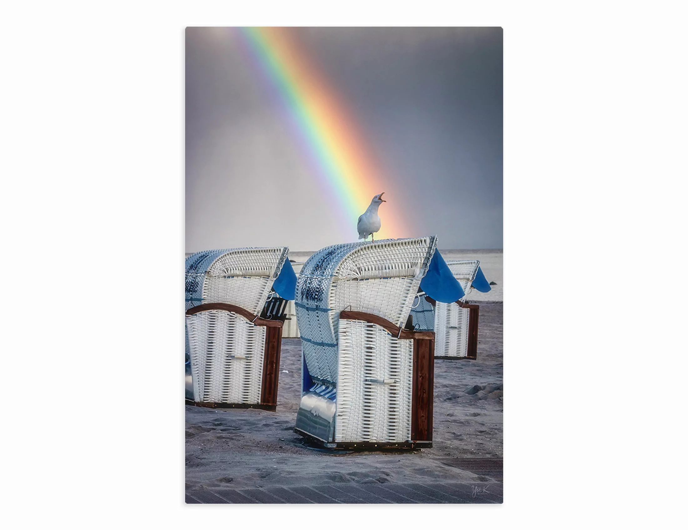 Bild auf Leinwand Möwe mit Regenbogen 60X40 cm günstig online kaufen