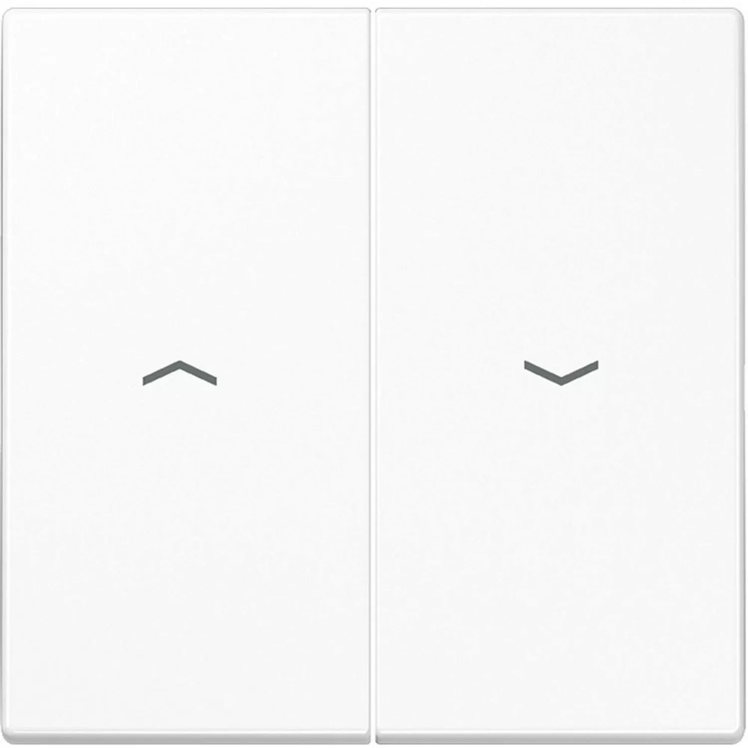 Jung Wippe Symbole aws für Taster LS 995 P WW - LS995PWW günstig online kaufen
