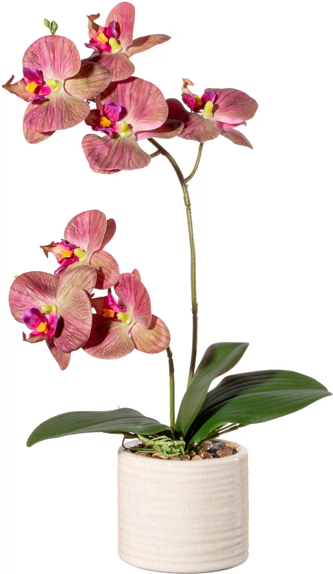 Creativ green Kunstorchidee "Orchidee Phalaenopsis in Keramiktopf", mit Rea günstig online kaufen