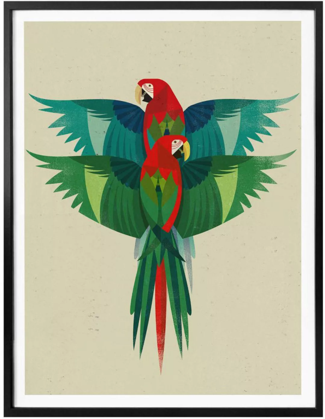 Wall-Art Poster »Ara Illustration bunt«, Papageien, (1 St.), Poster ohne Bi günstig online kaufen
