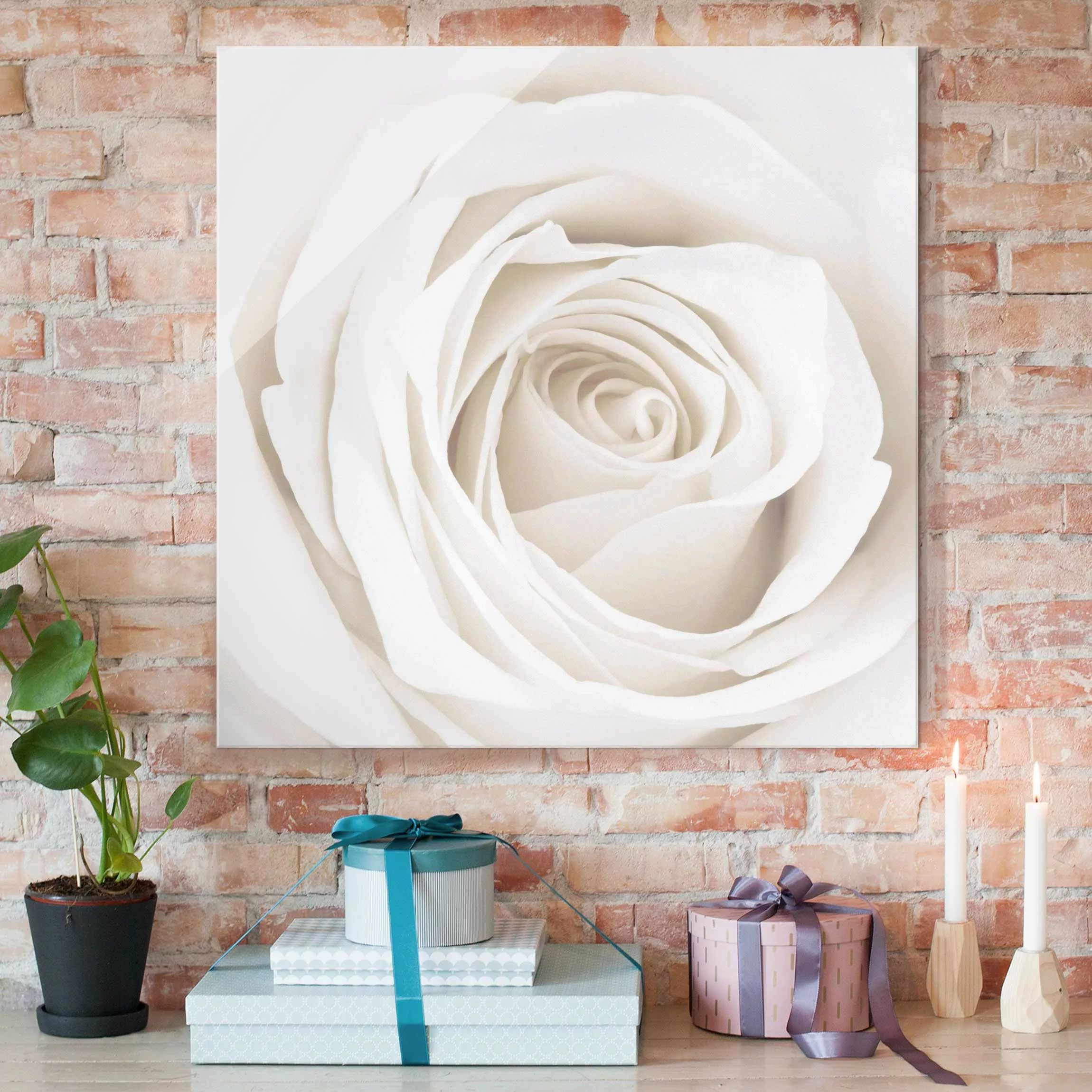 Glasbild Blumen - Quadrat Pretty White Rose günstig online kaufen