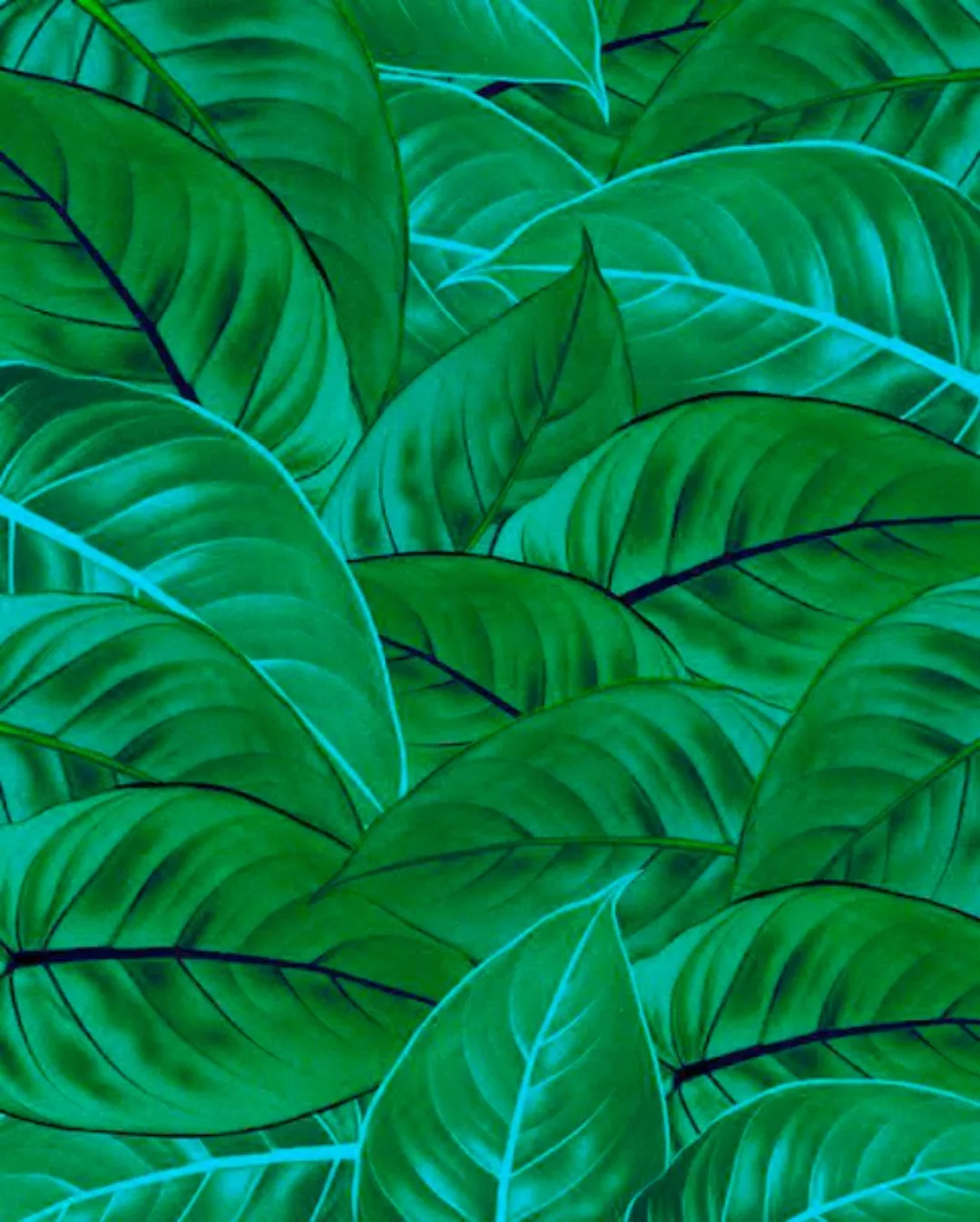 Komar Vliestapete »Jungle Leaves«, 200x250 cm (Breite x Höhe), Vliestapete, günstig online kaufen