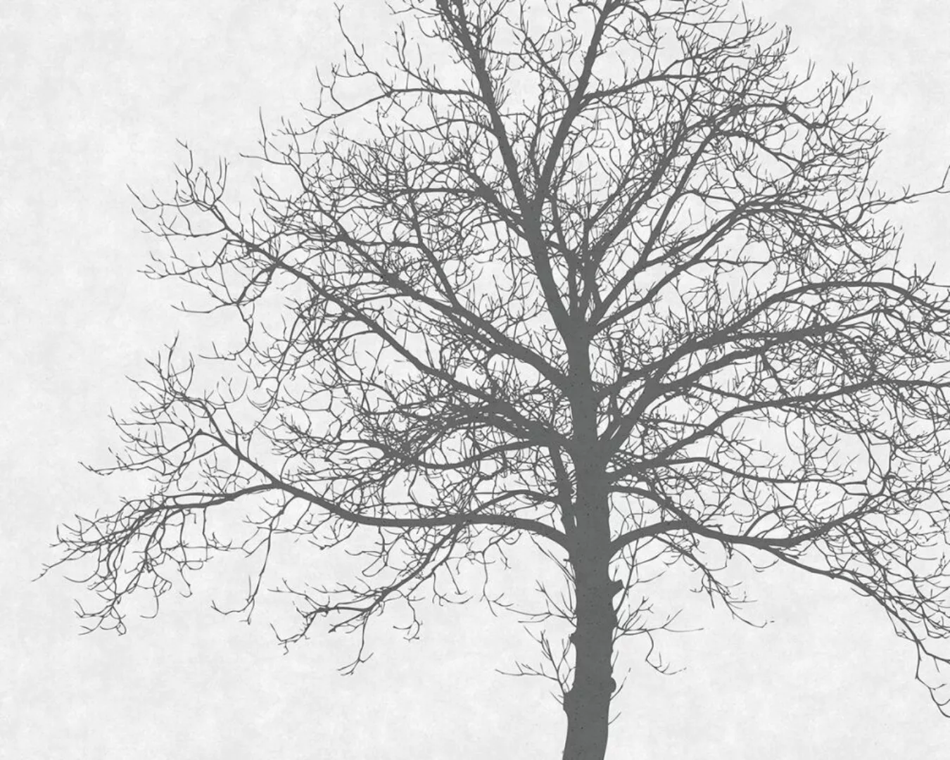Fototapete "Solidary Tree Grey" 4,00x2,50 m / Strukturvlies Klassik günstig online kaufen