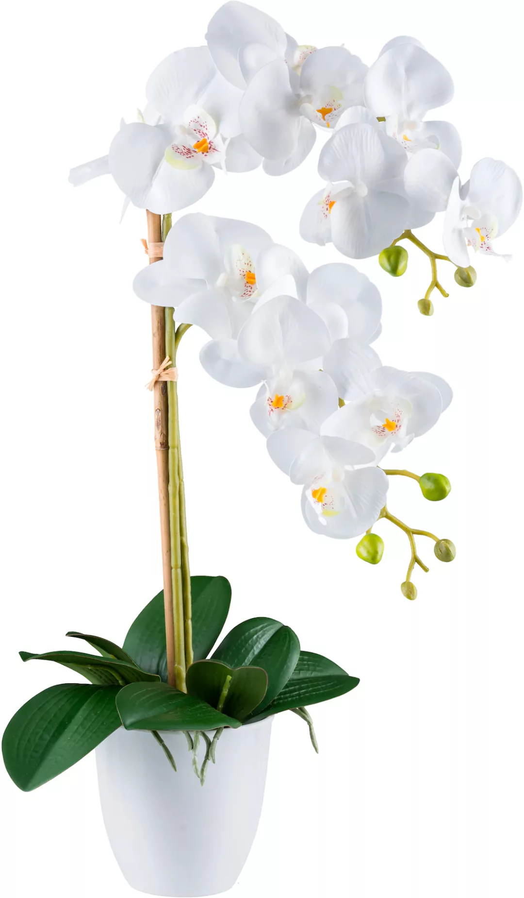 Creativ green Kunstorchidee "Orchidee Phalaenopsis", mit real-touch-Blüten günstig online kaufen