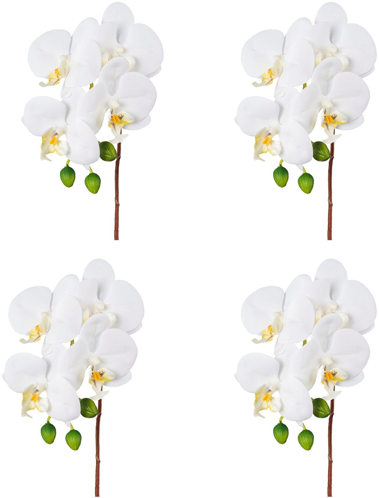 Kunstorchidee Orchidee Phalaenopsis Orchidee, Creativ green, günstig online kaufen