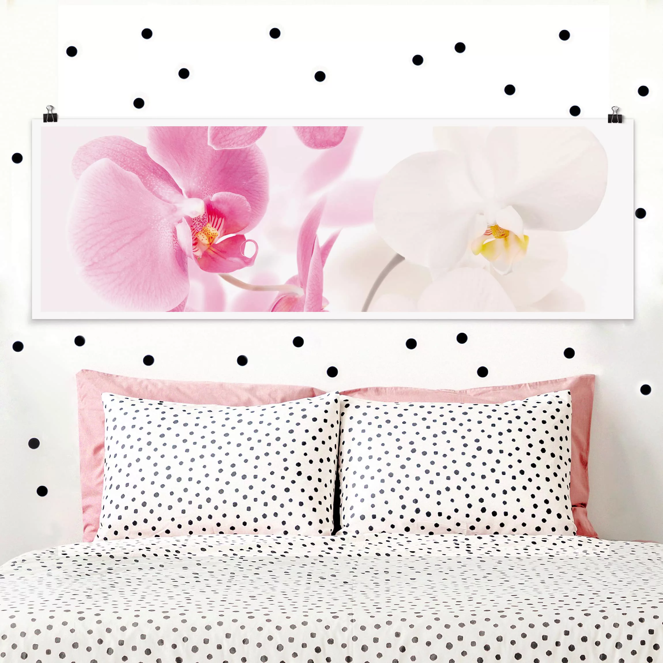 Panorama Poster Blumen Delicate Orchids günstig online kaufen