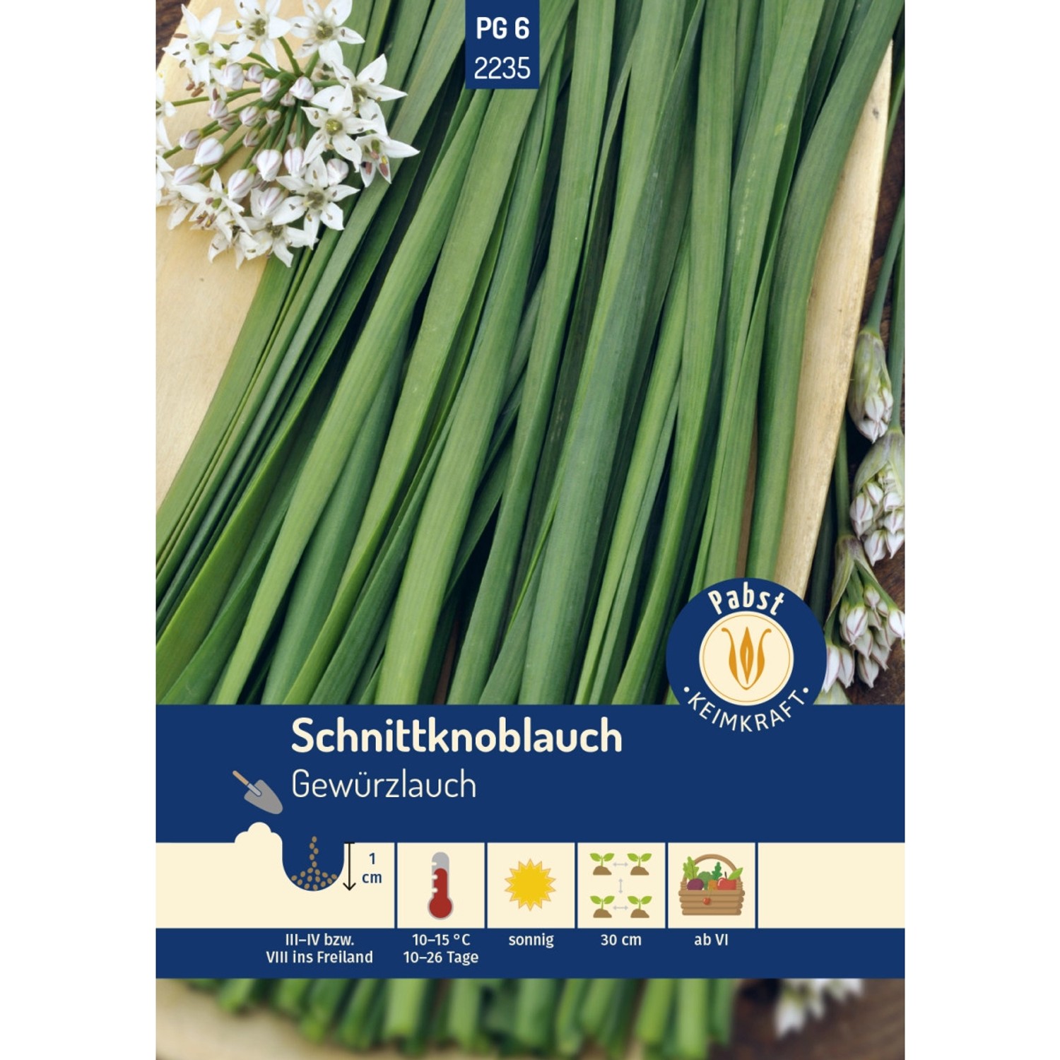 Pabst Keimkraft Schnittknoblauch Mehrjährig & Würzig Gewürzlauch Saatgut günstig online kaufen