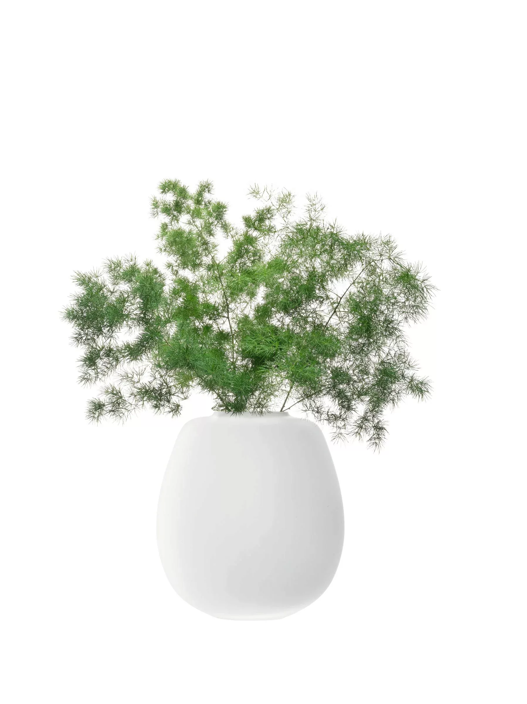 L.S.A. | Vase Benthe günstig online kaufen