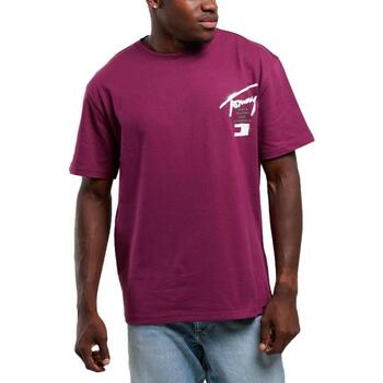 Tommy Hilfiger  T-Shirts & Poloshirts DM0DM18529-VVK günstig online kaufen