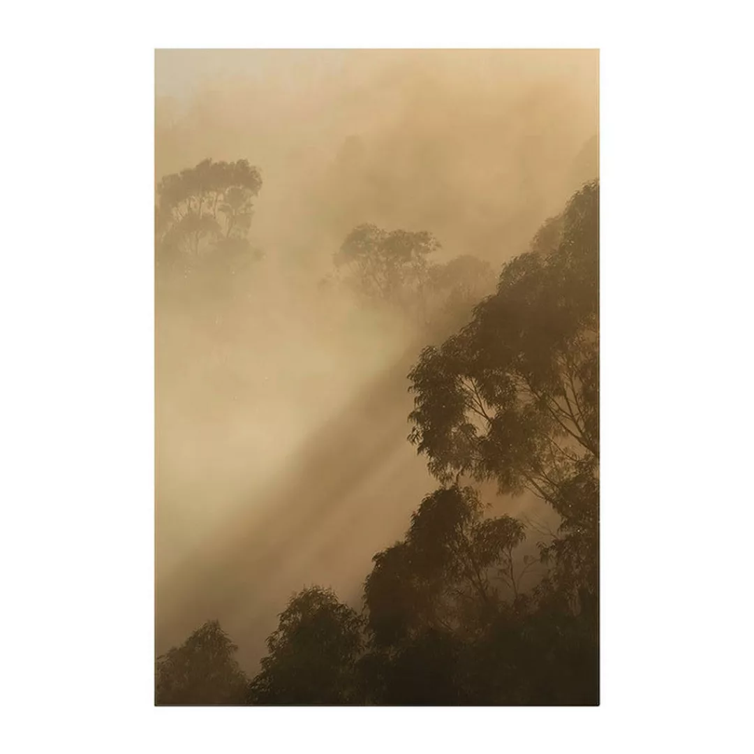 KOMAR Wandbild - Golden Light - Größe: 50 x 70 cm mehrfarbig Gr. one size günstig online kaufen